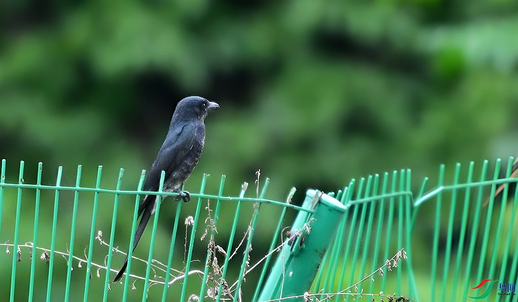DSC_7348.JPG
