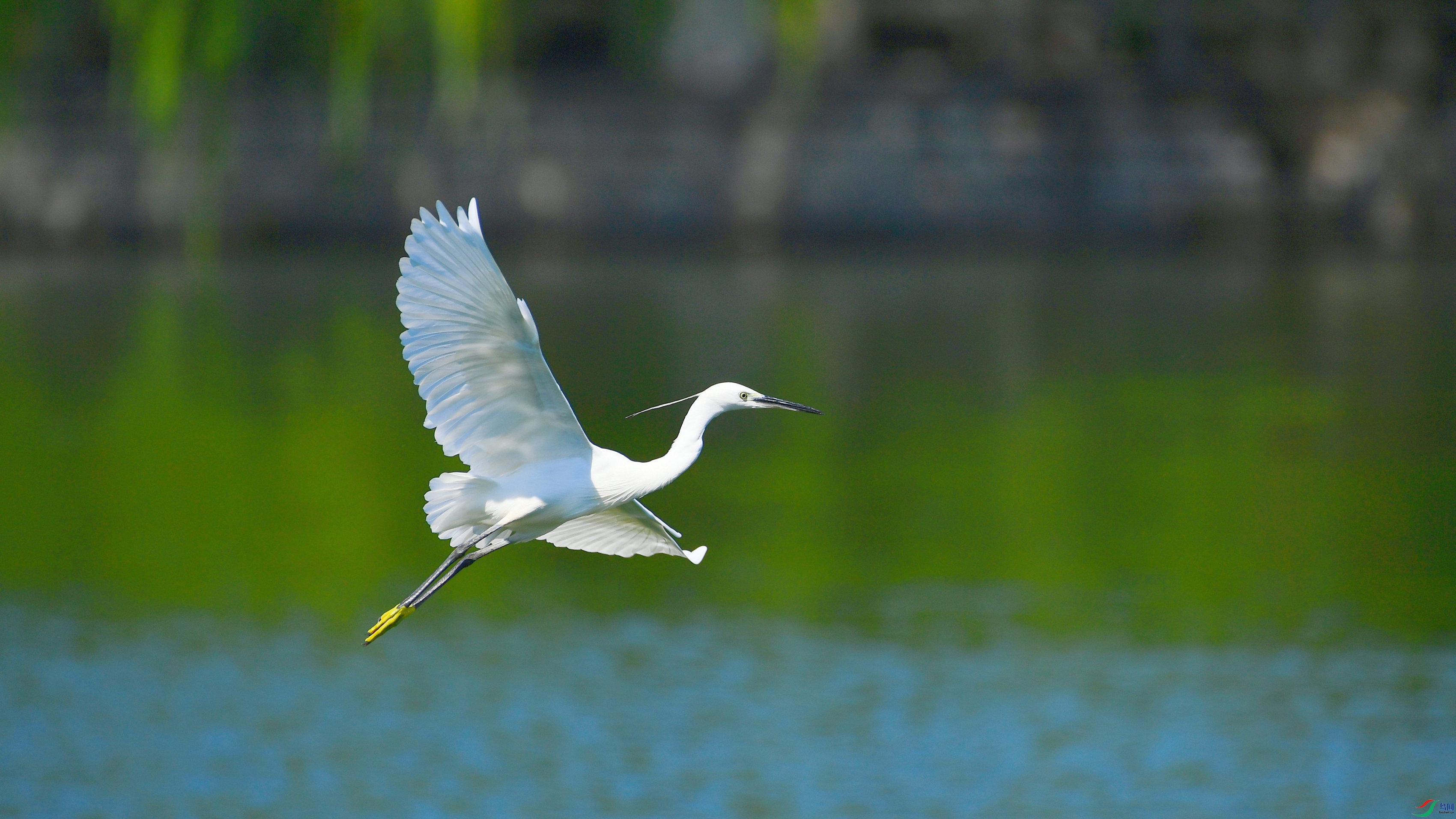 DSC_7126.JPG