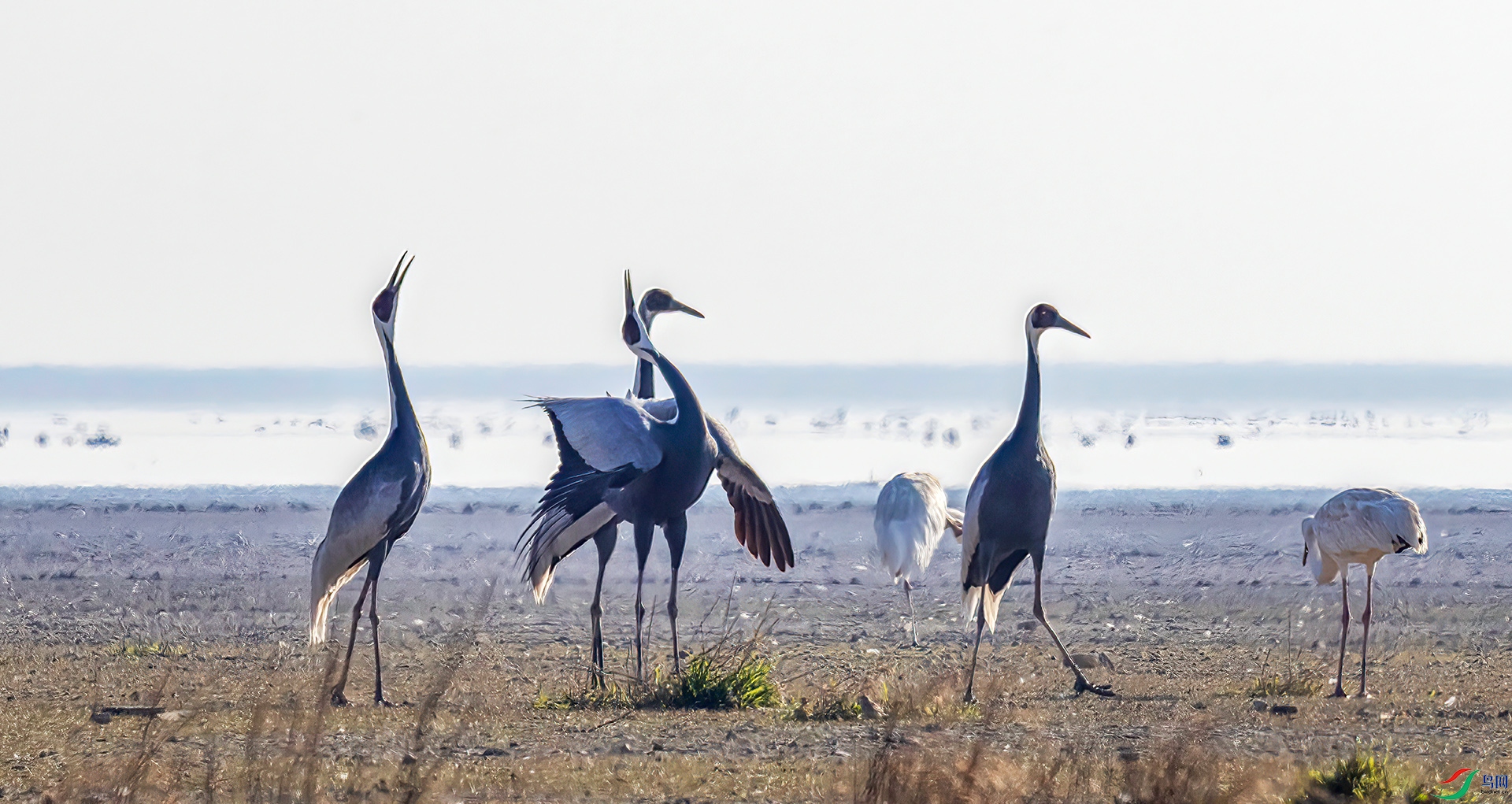 407A6277 ����-Sh-----1 .jpg