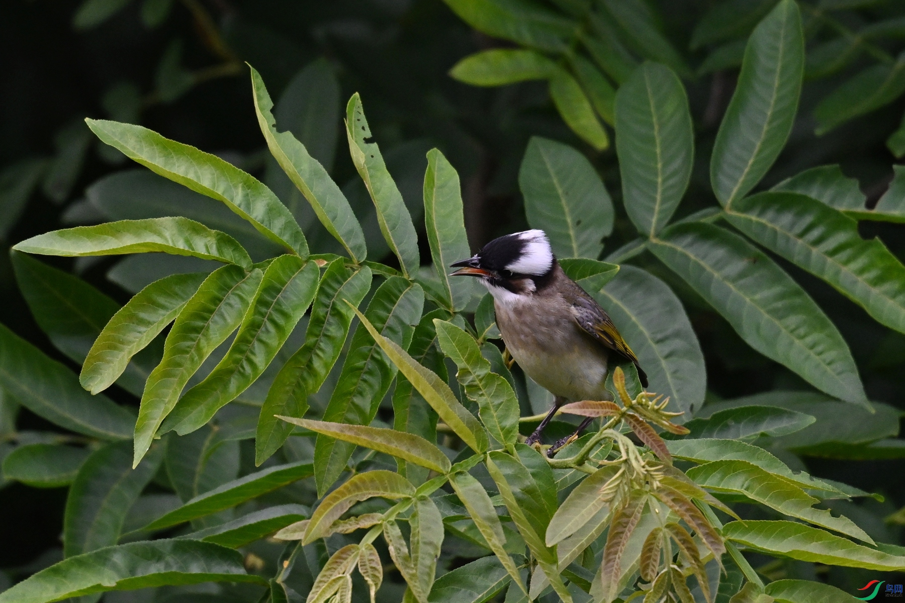 DSC_5503.JPG