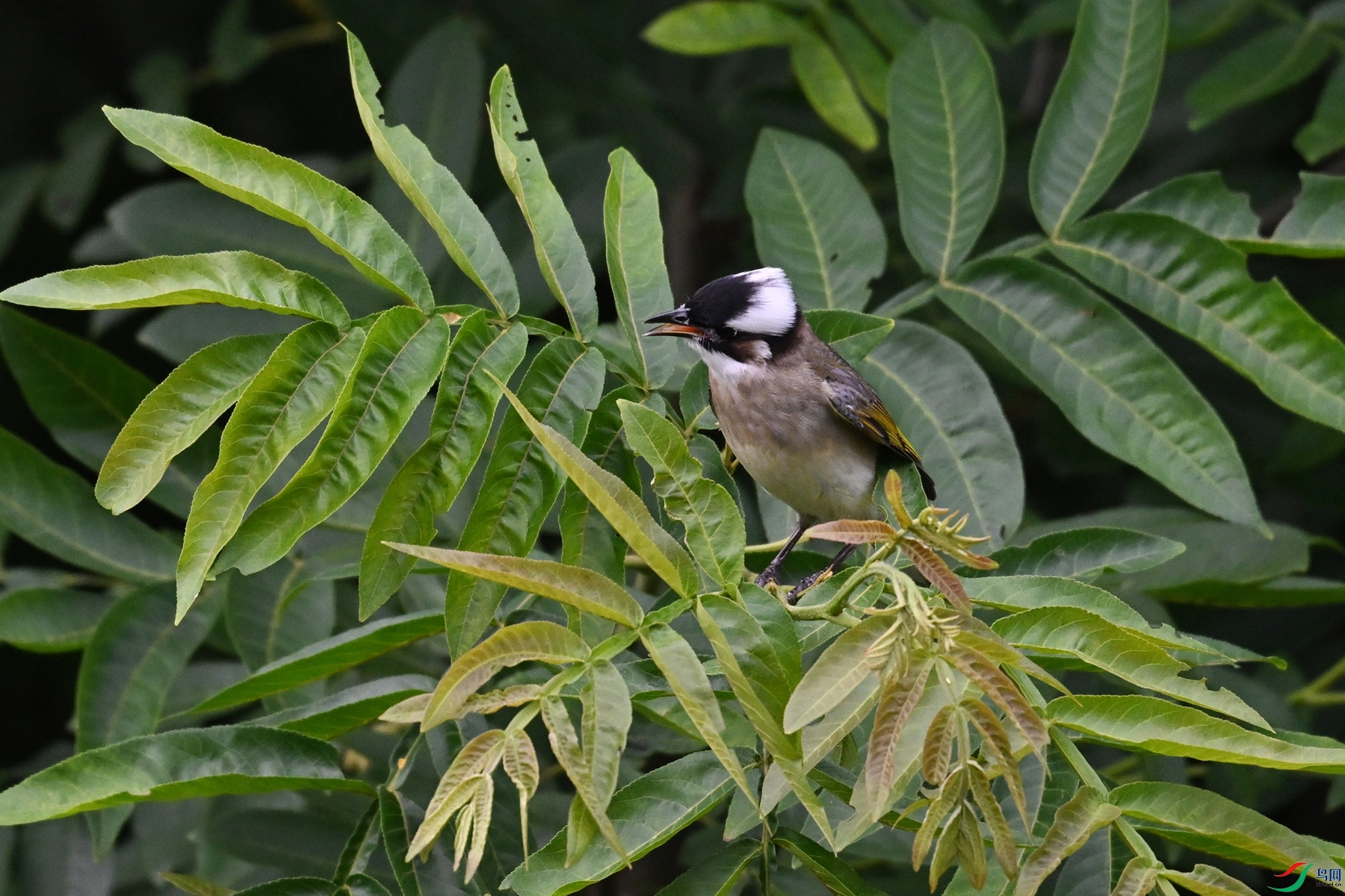 DSC_5504.JPG