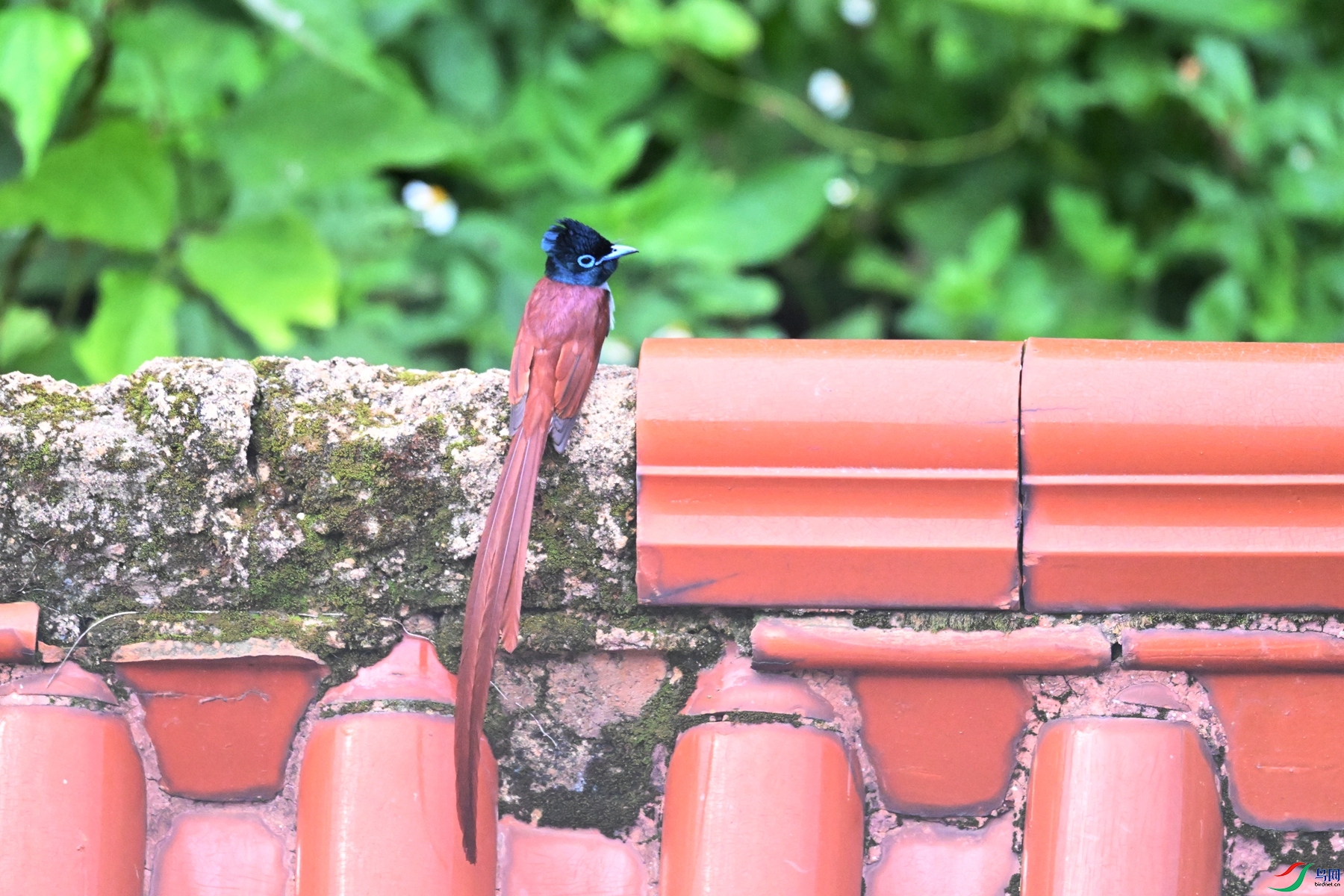 DSC_5505.JPG