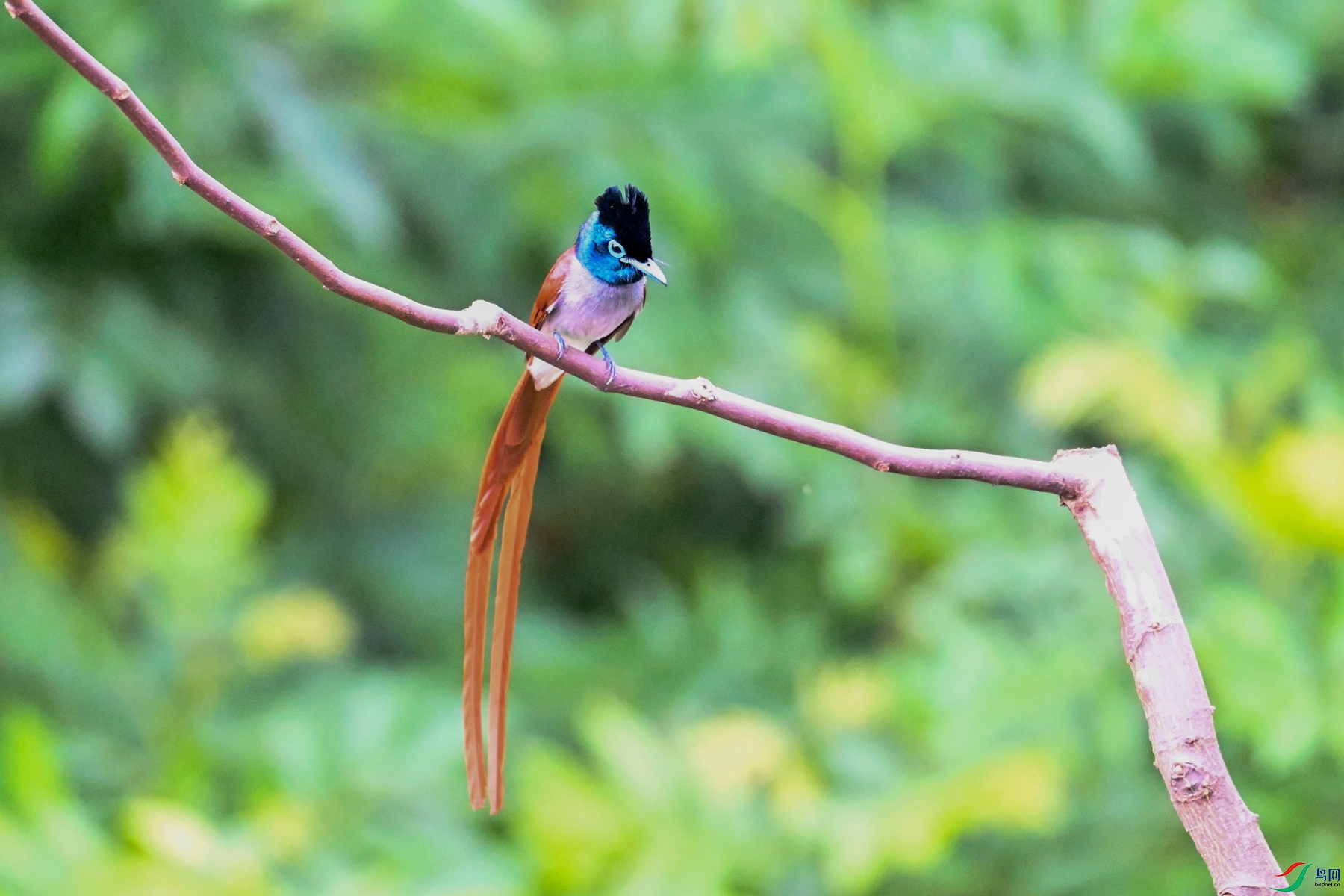 DSC_5522.JPG