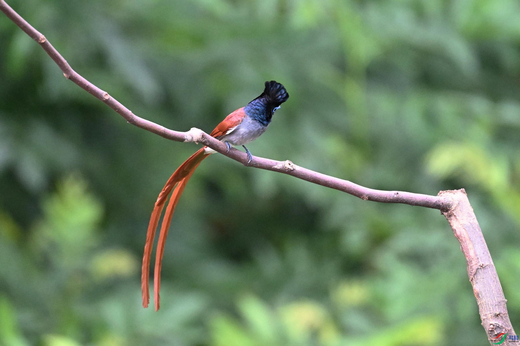 DSC_5508.JPG