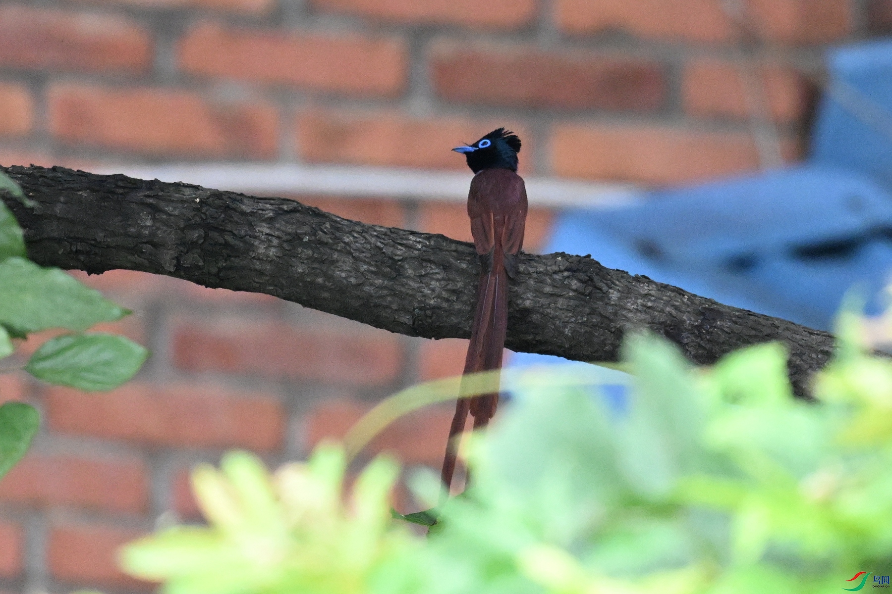 DSC_5539.JPG