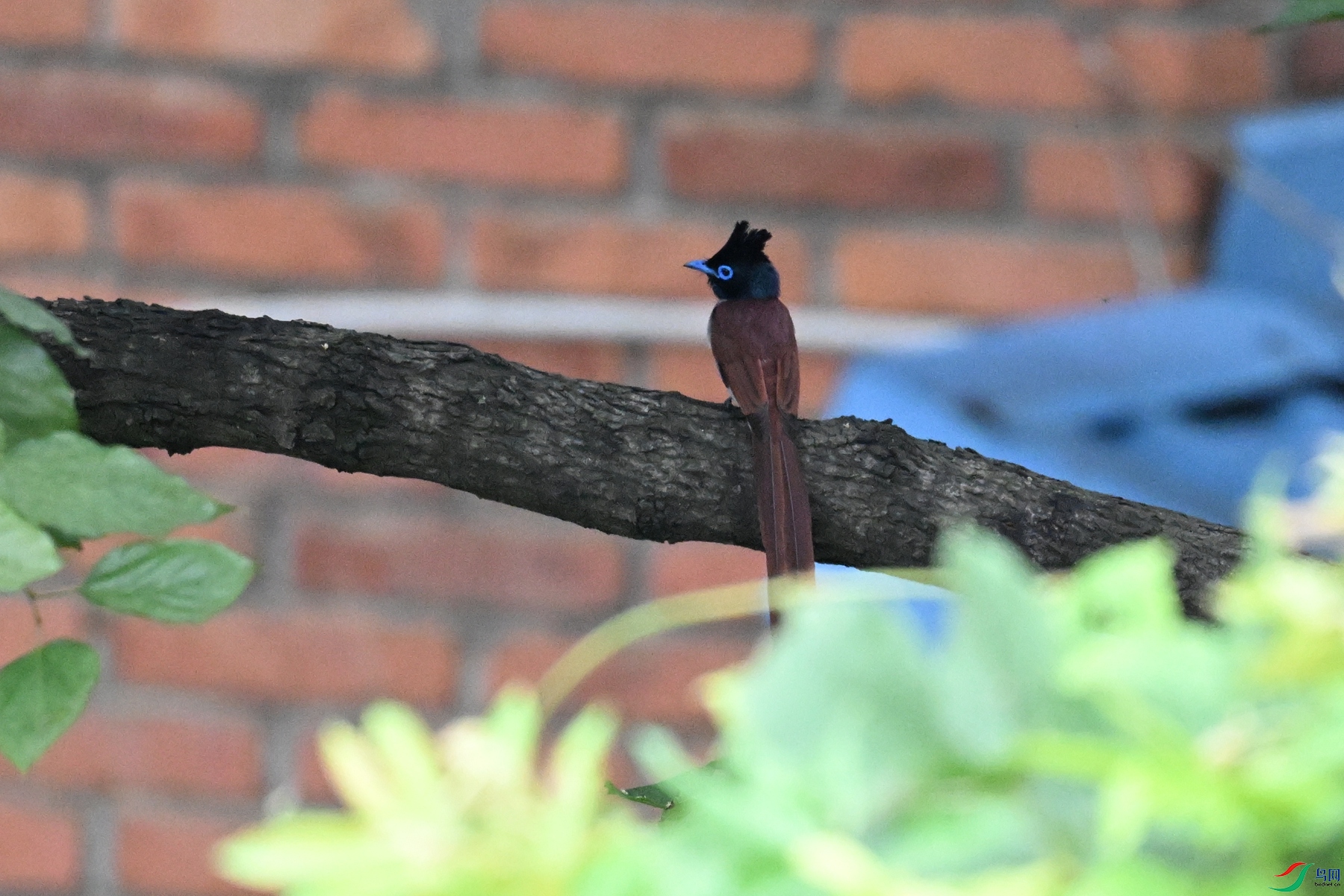 DSC_5546.JPG