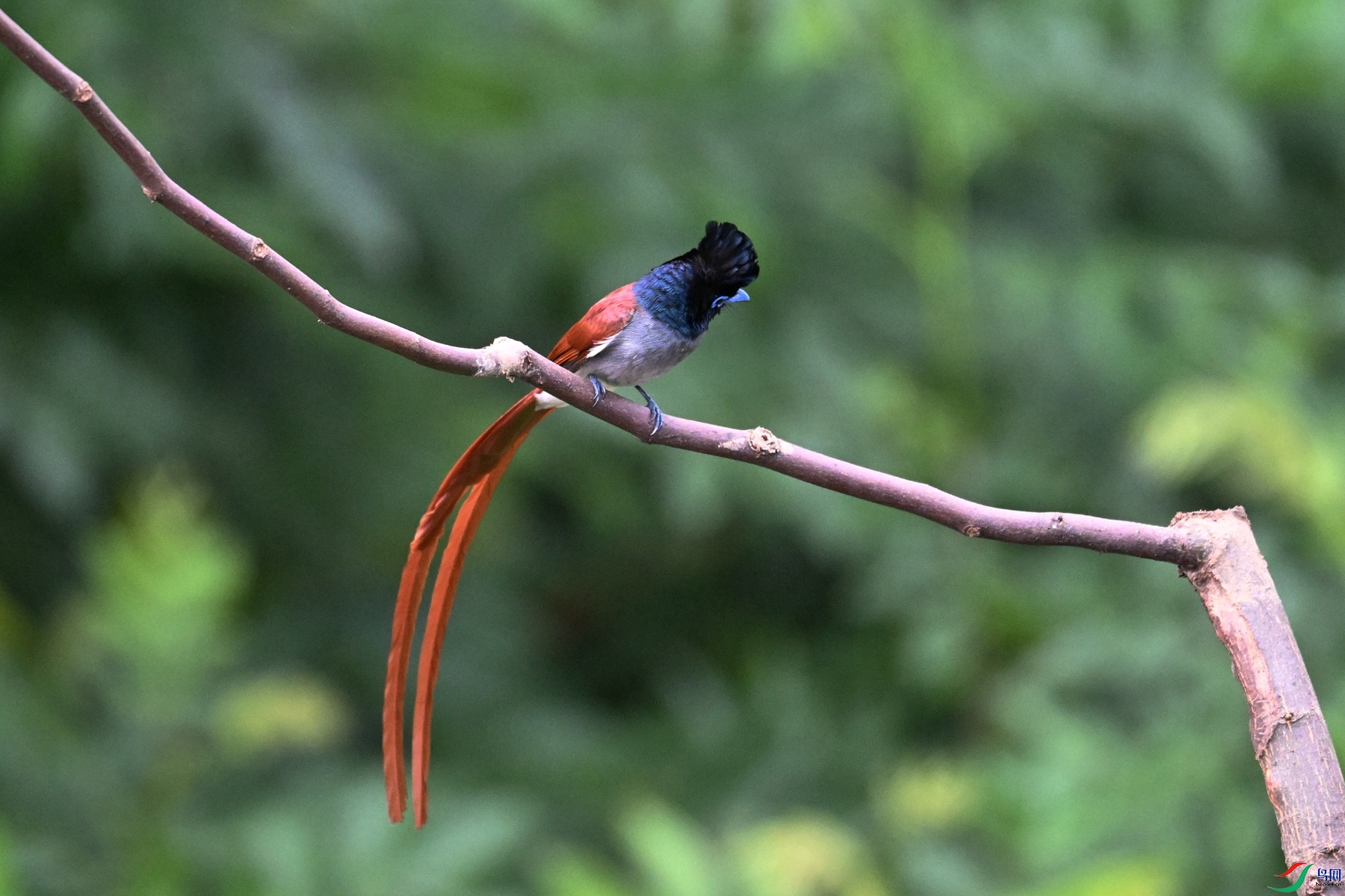 DSC_5512.JPG
