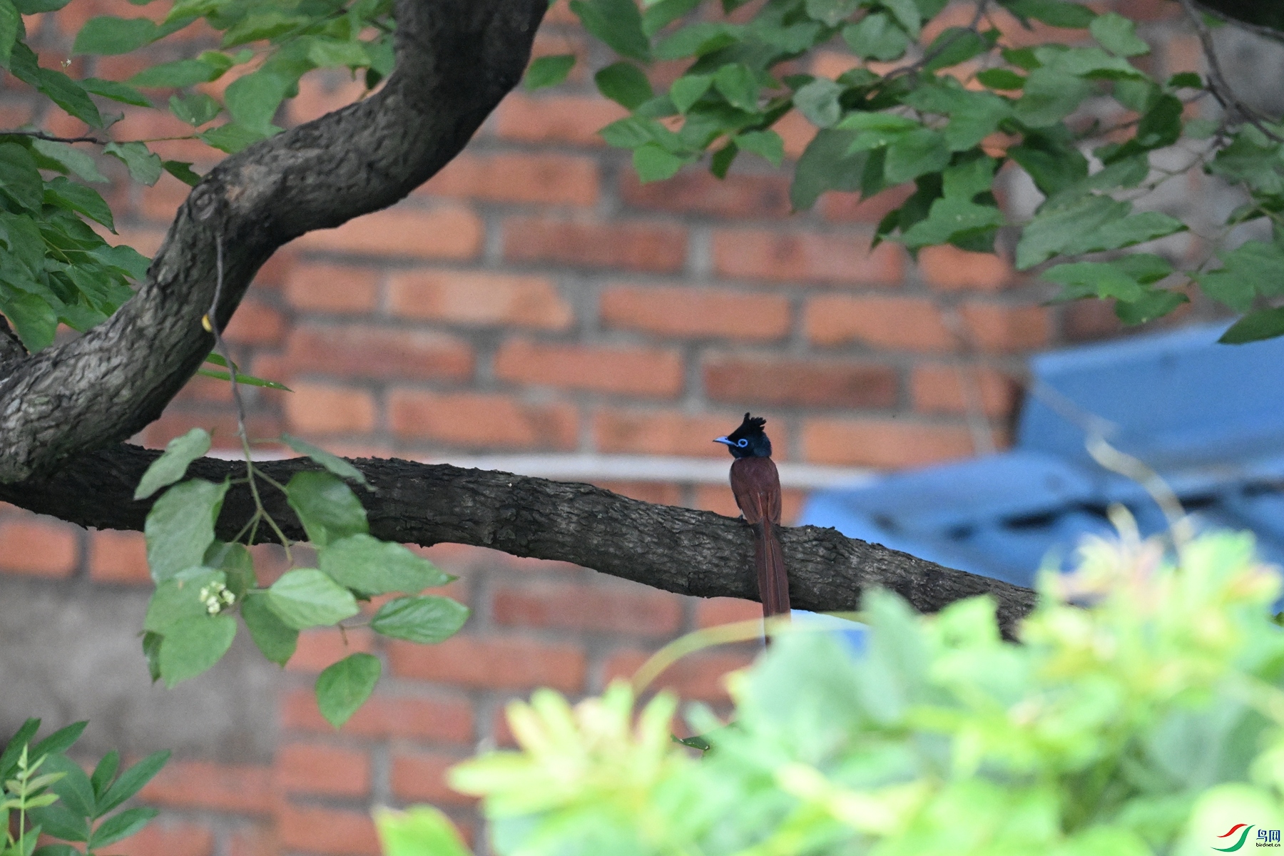 DSC_5548.JPG