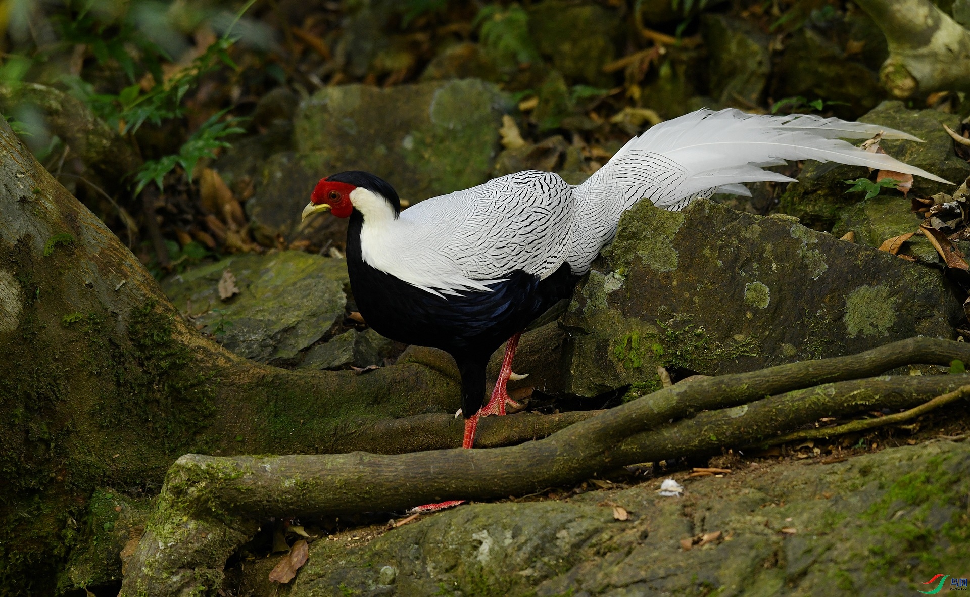 DSC_3539.jpg