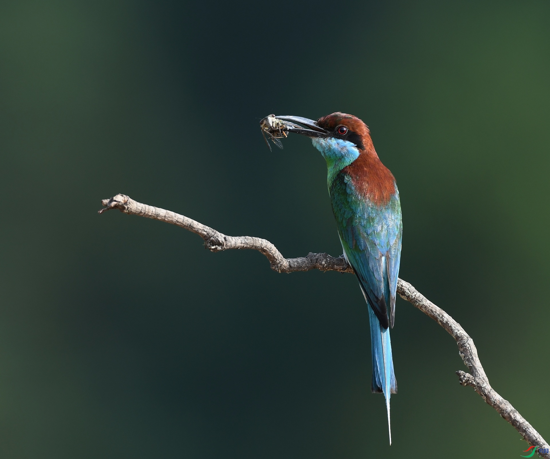 DSC_7496.jpg