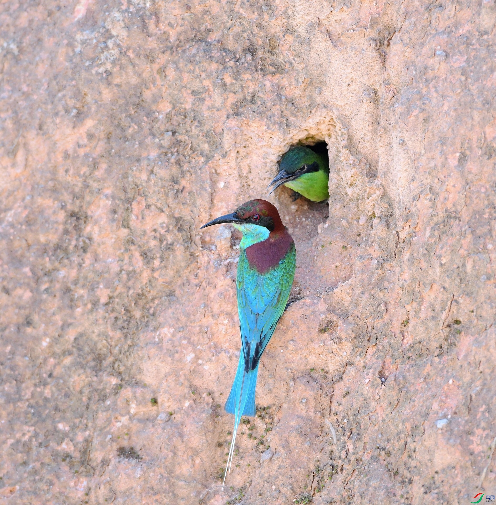 DSC_8122.jpg