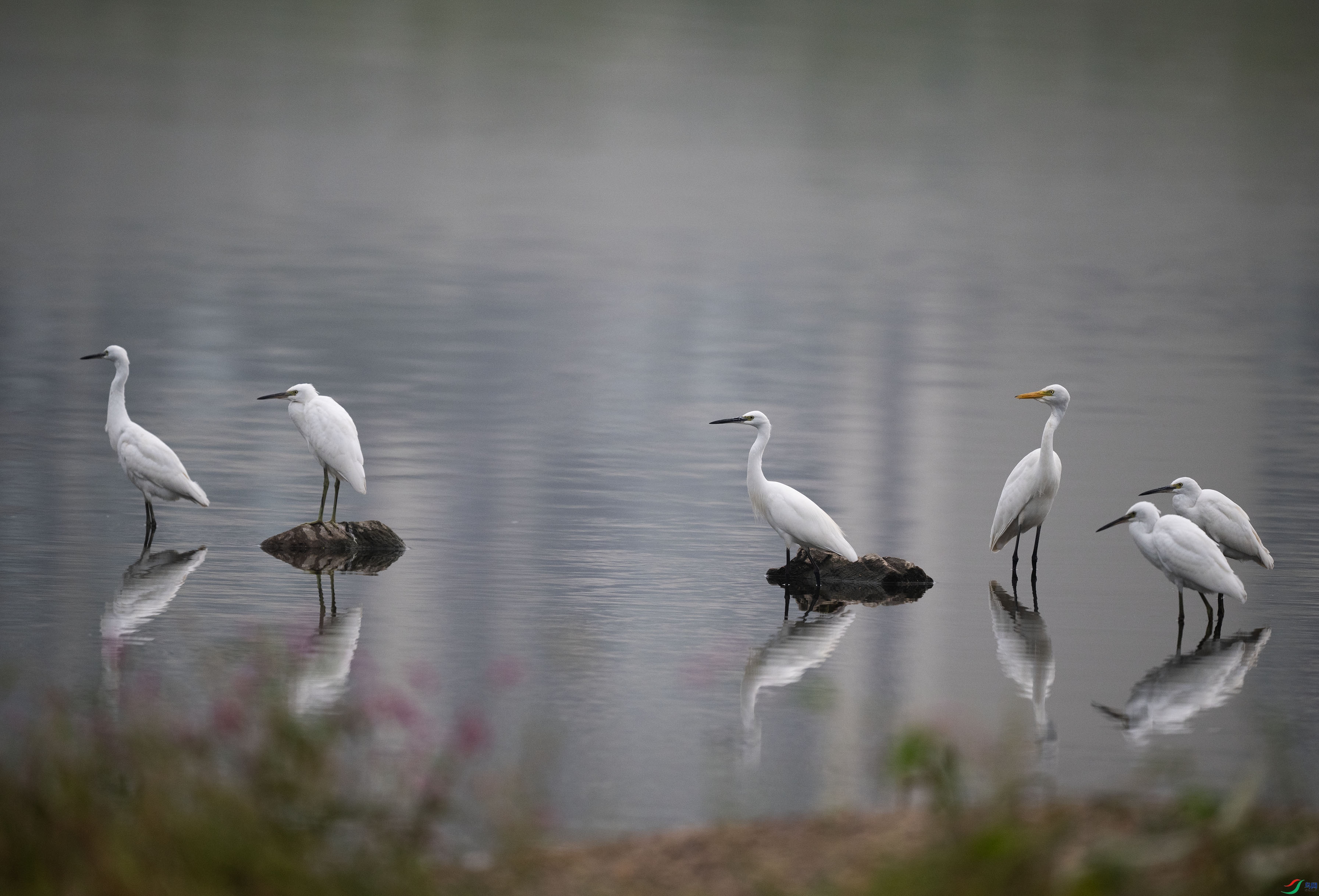 DSC_6411.jpg