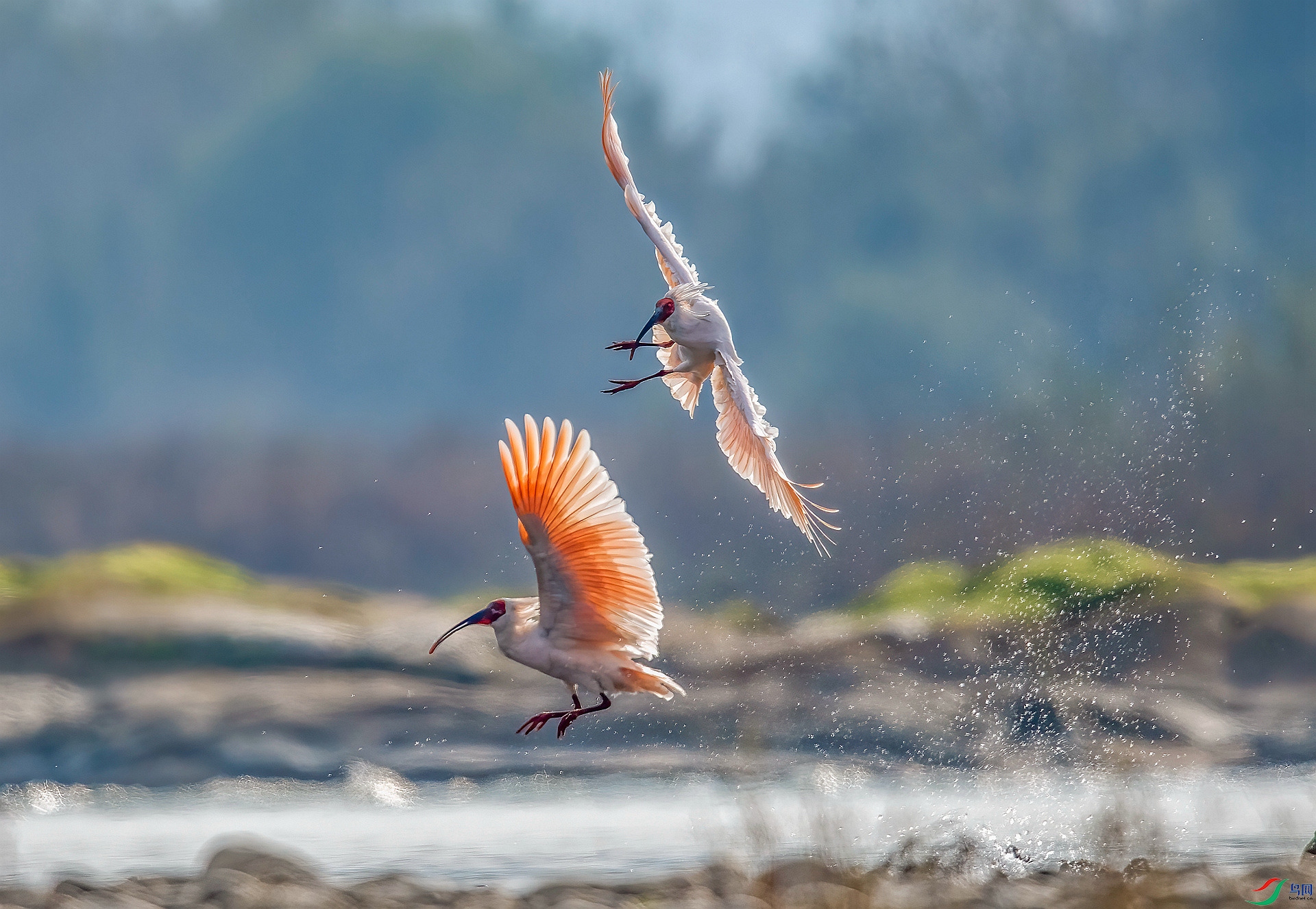 DSC_3285 ����_����_����.jpg