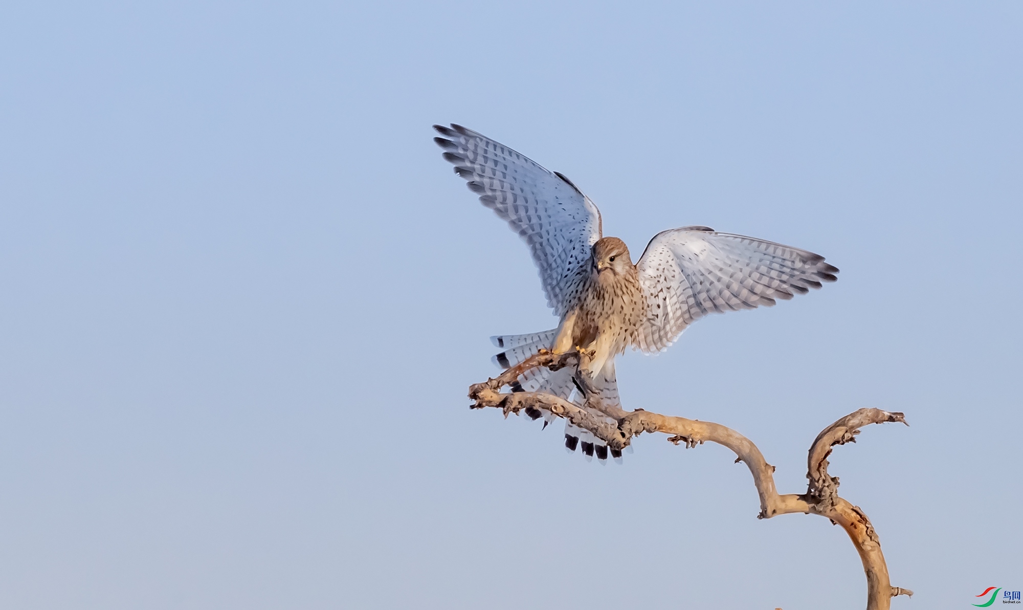 _H4I9054-1.jpg