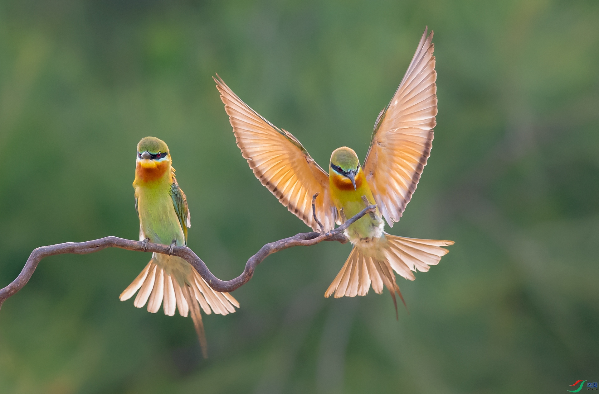 DSC_�����仢-1 - ����.jpg