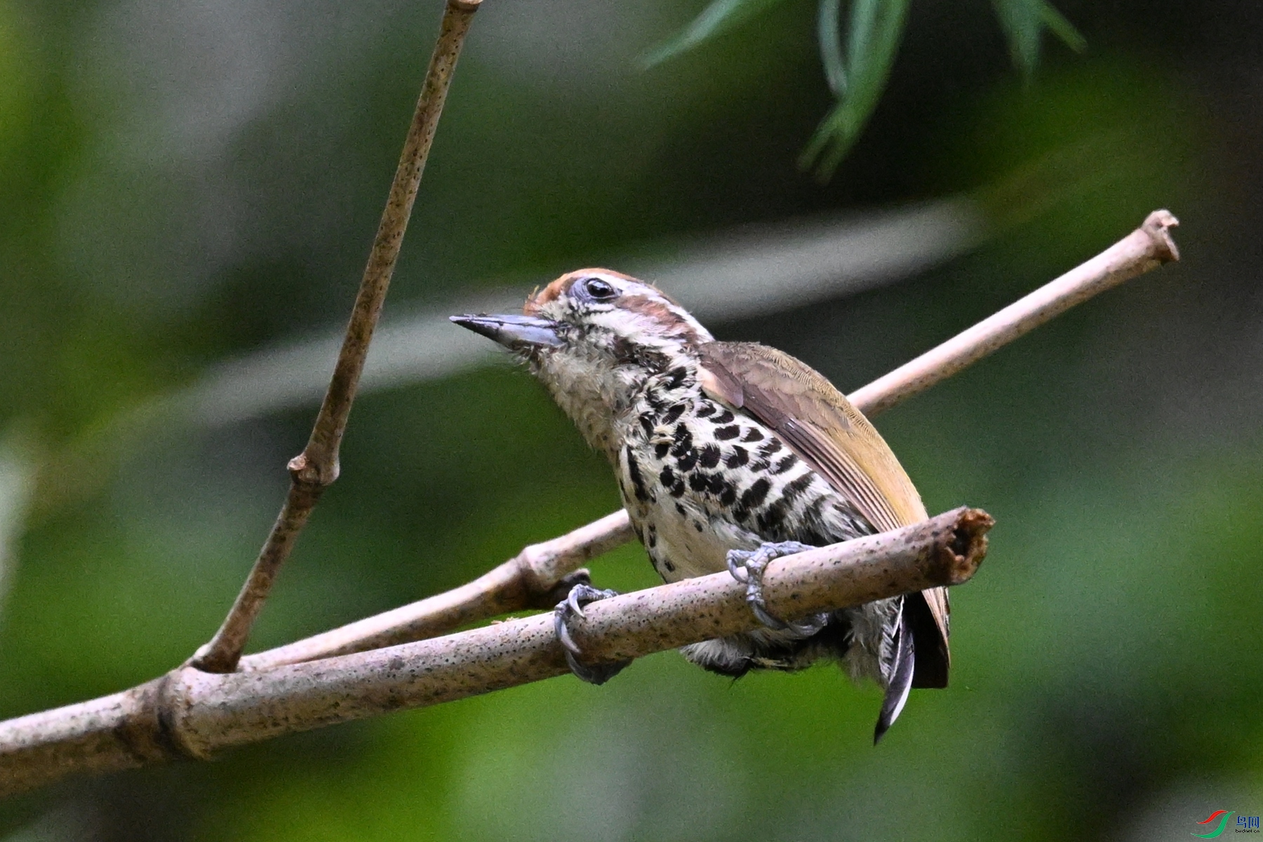 DSC_8641.JPG