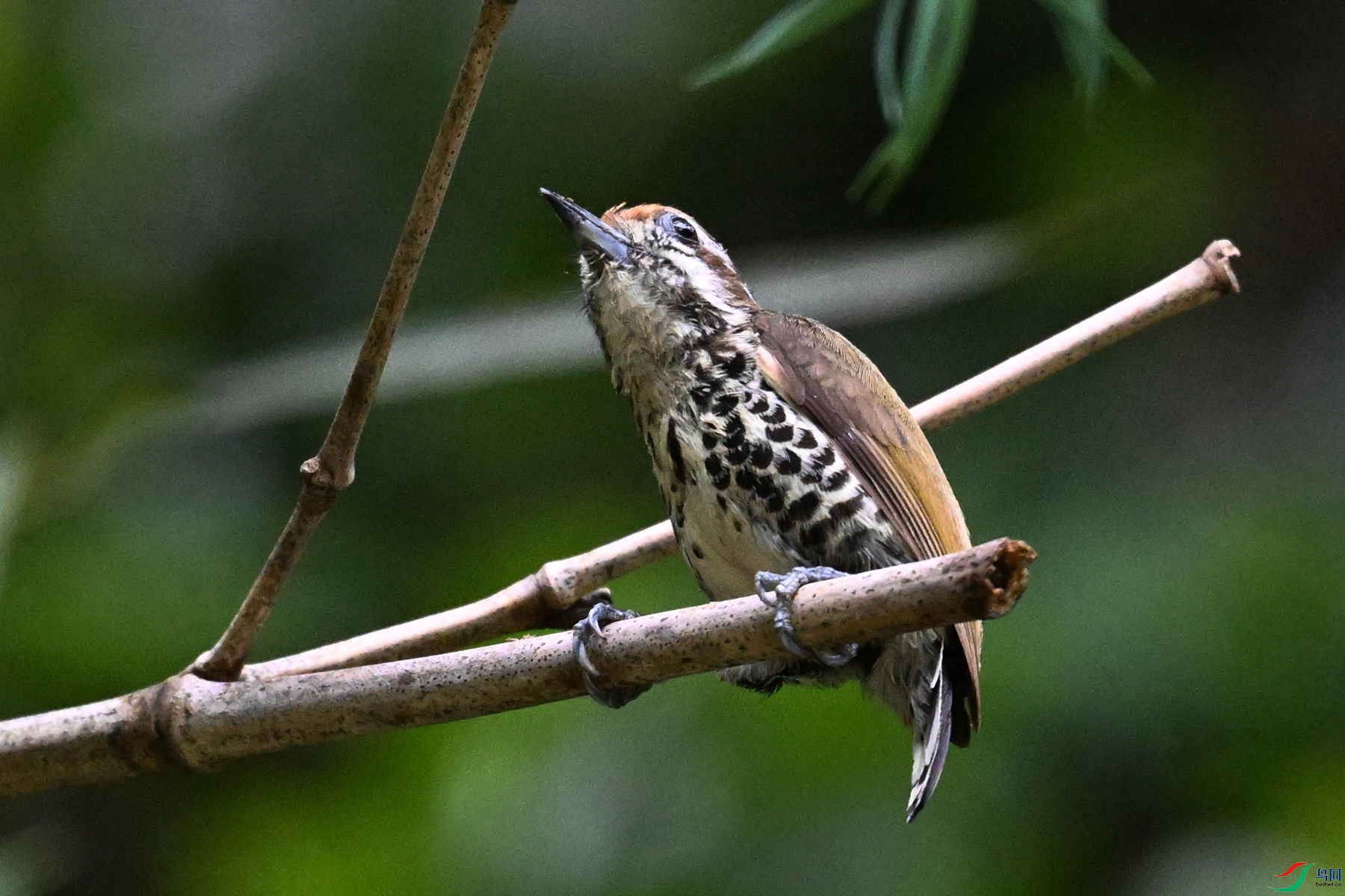 DSC_8649.JPG