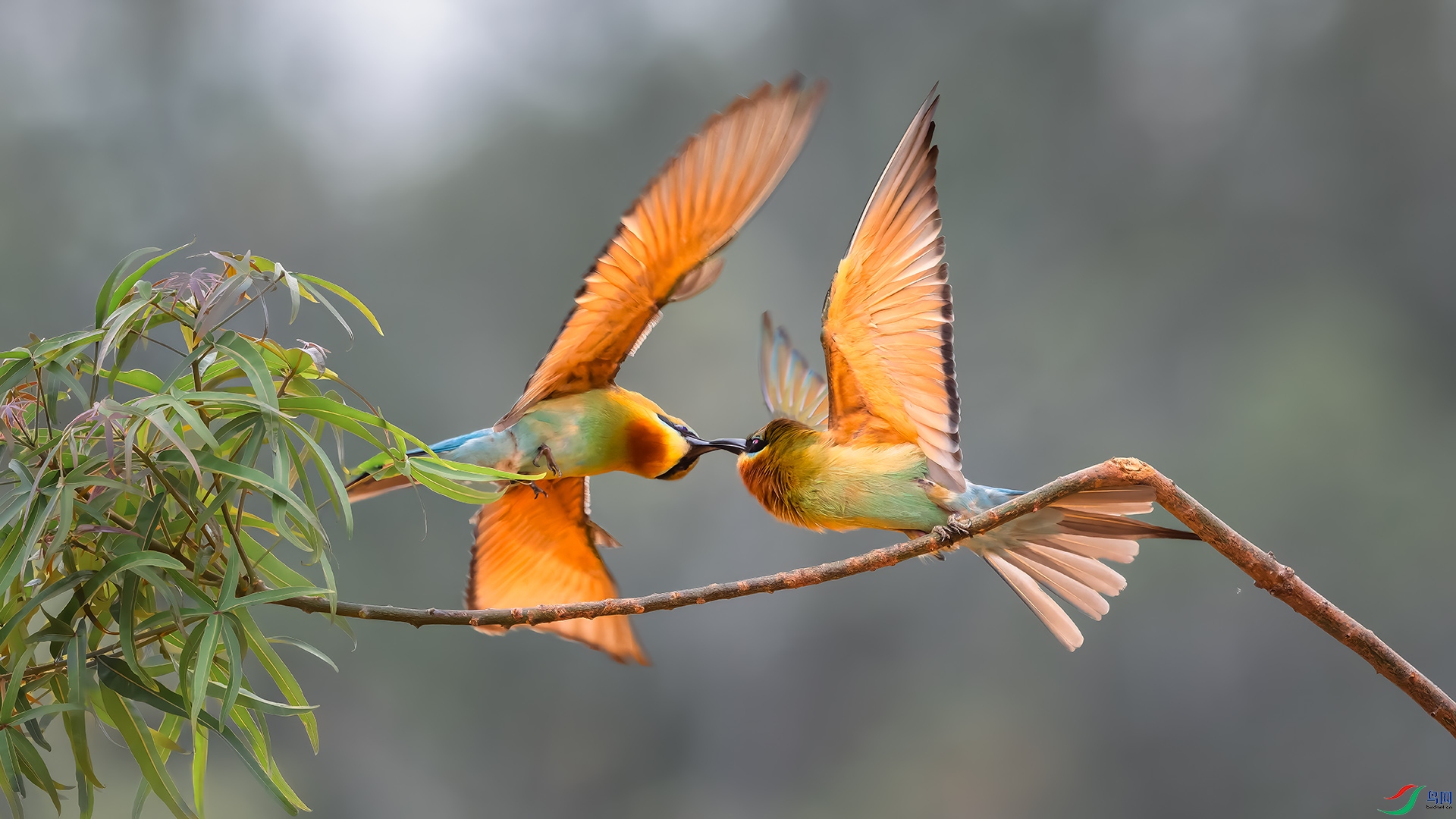 DSC_6358-DxO_DeepPRIME XD2s_XD ����.jpg