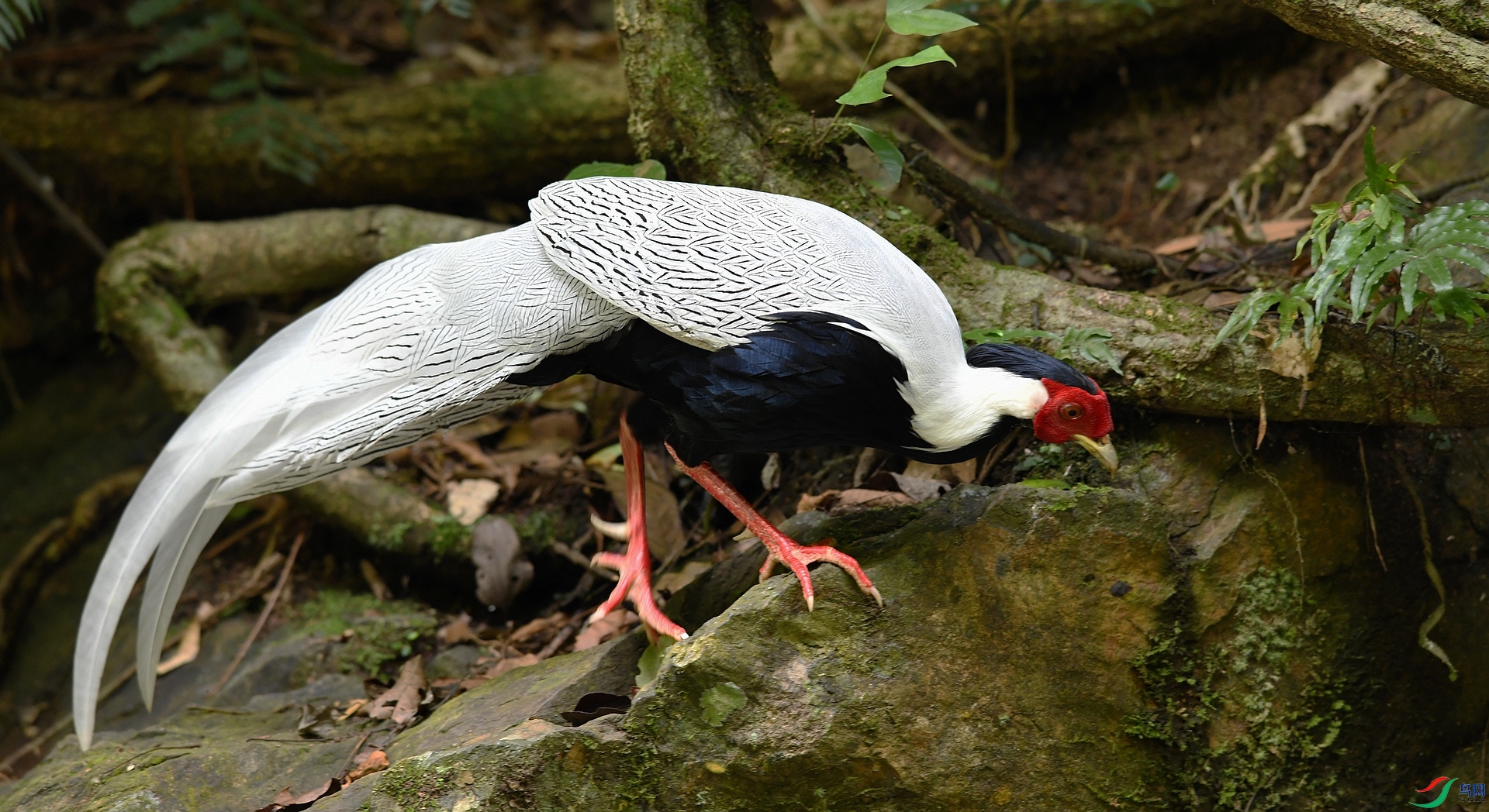 DSC_2865.jpg