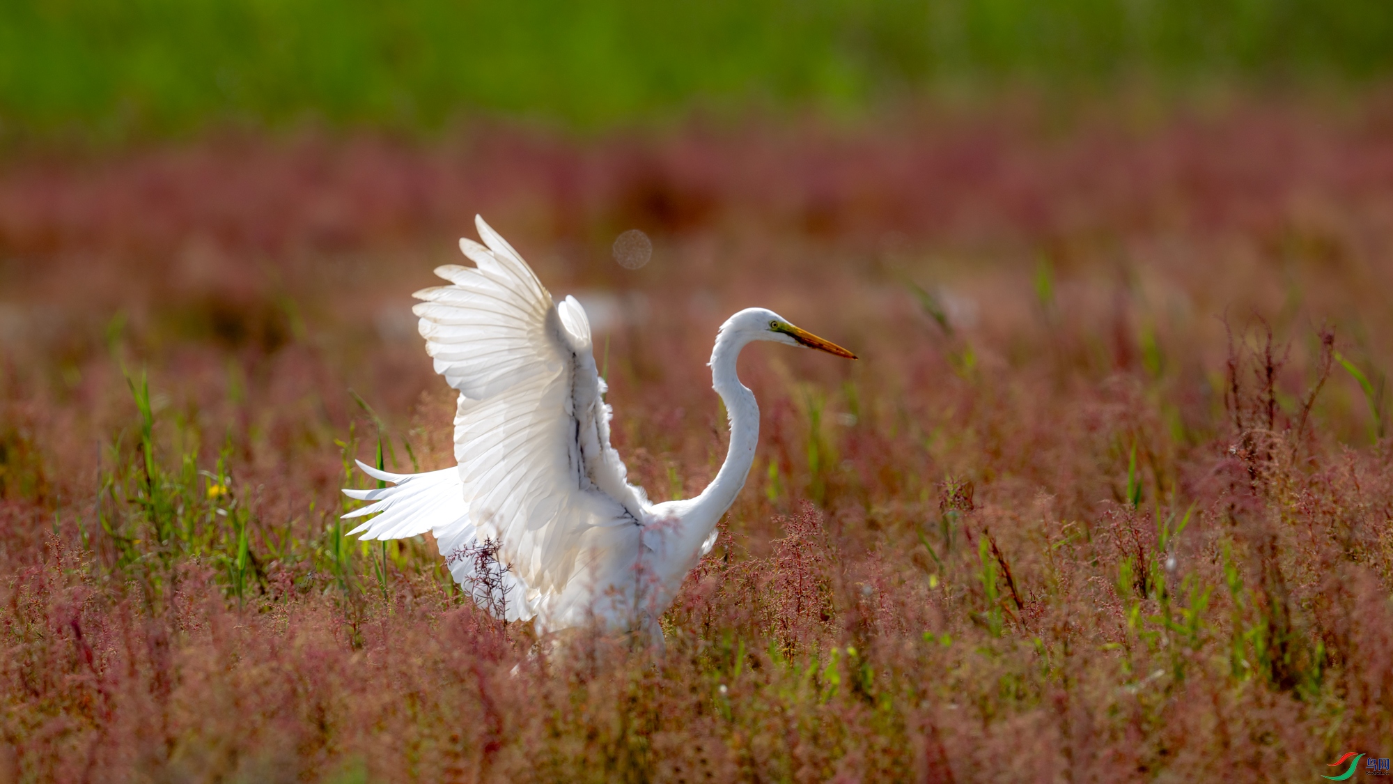 DSC_6963.jpg