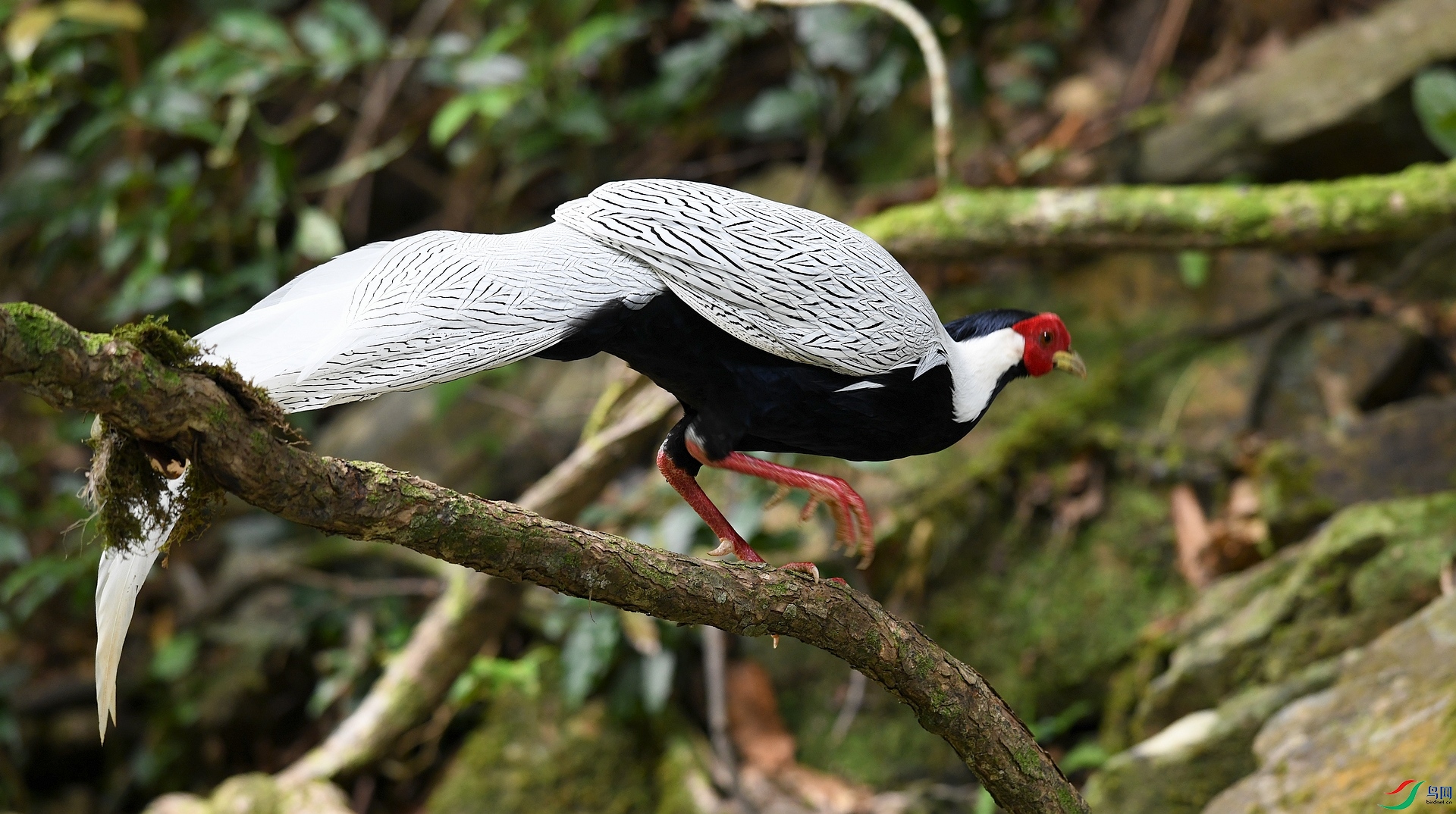 DSC_2834.jpg