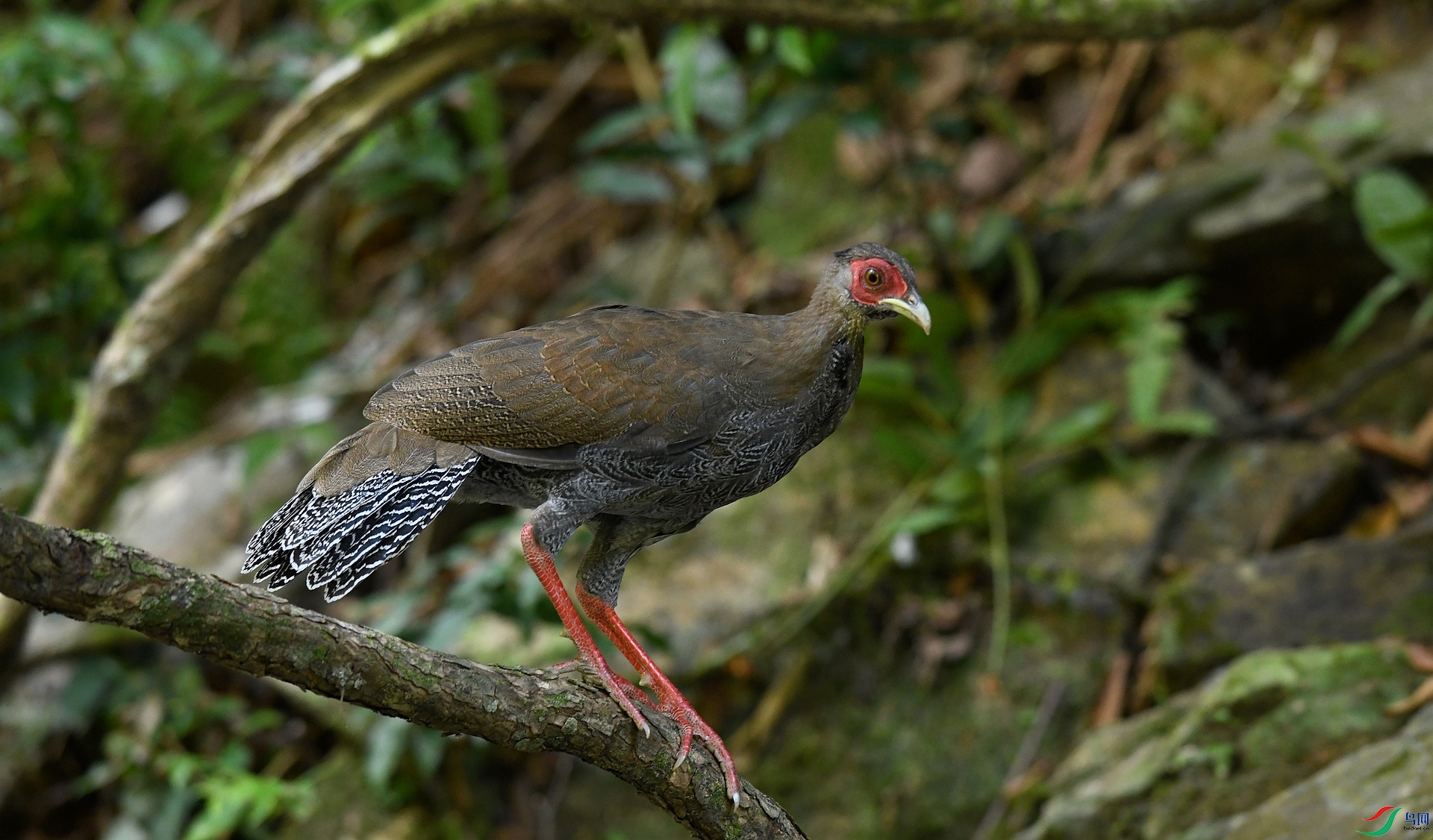 DSC_4276.jpg