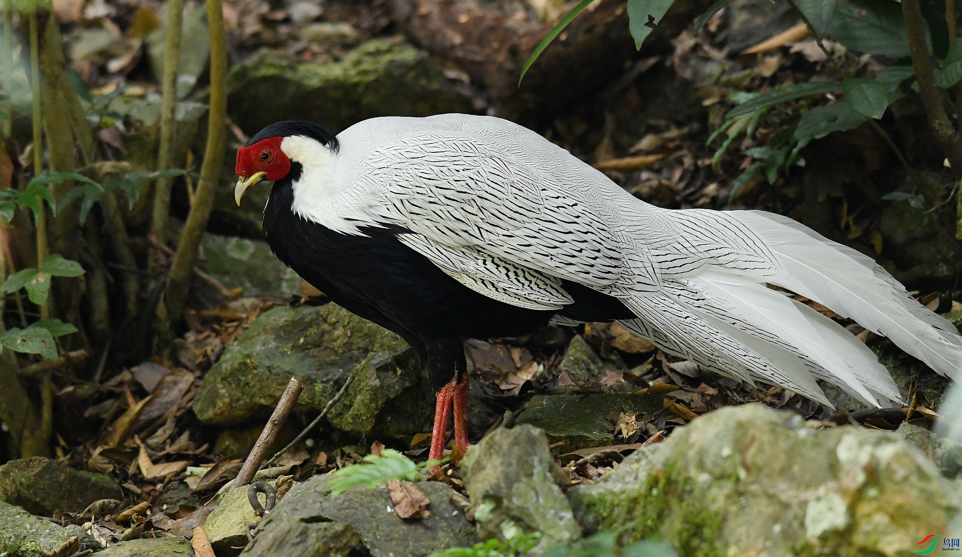 DSC_3011.jpg