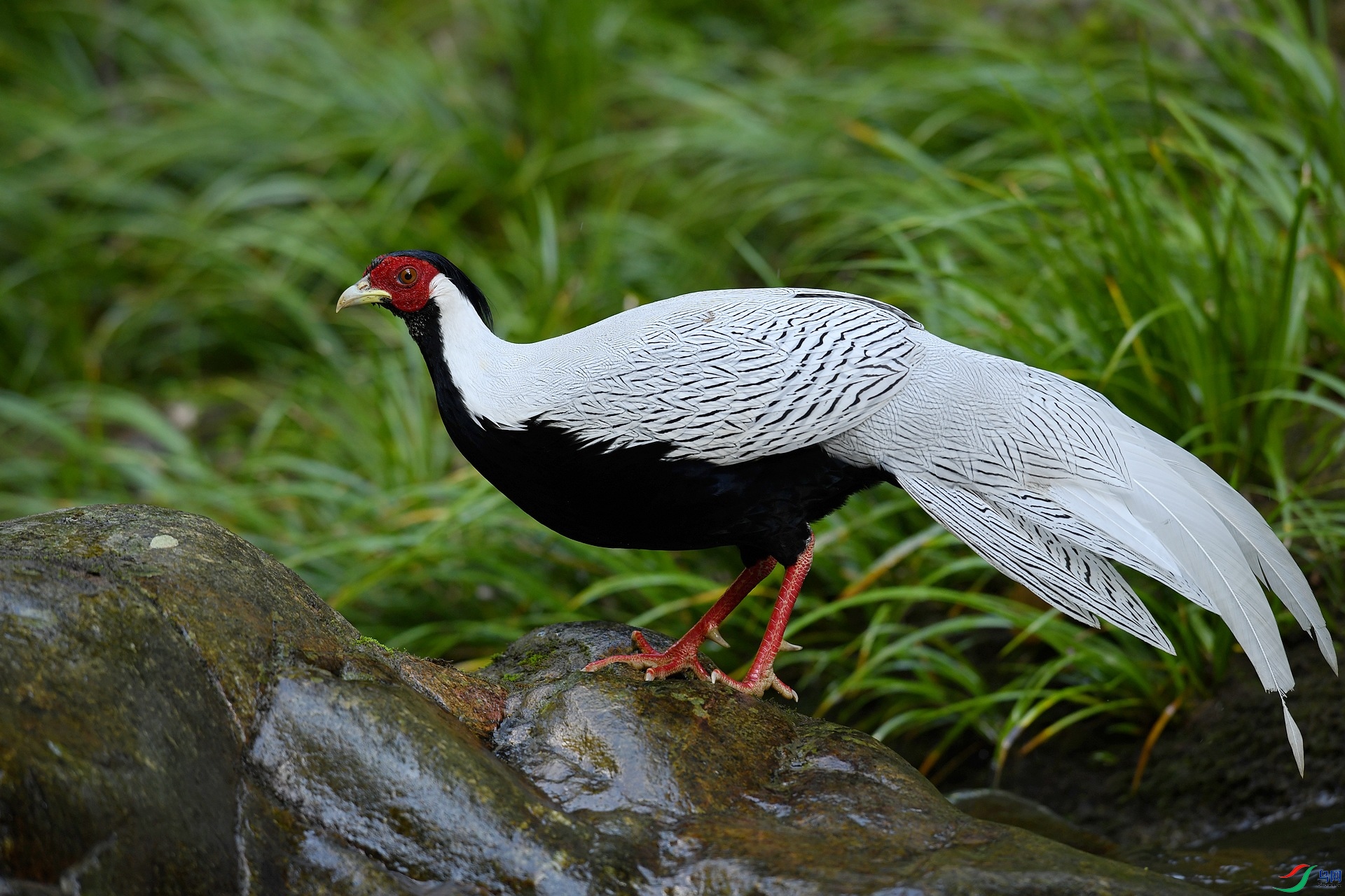 DSC_3461.jpg