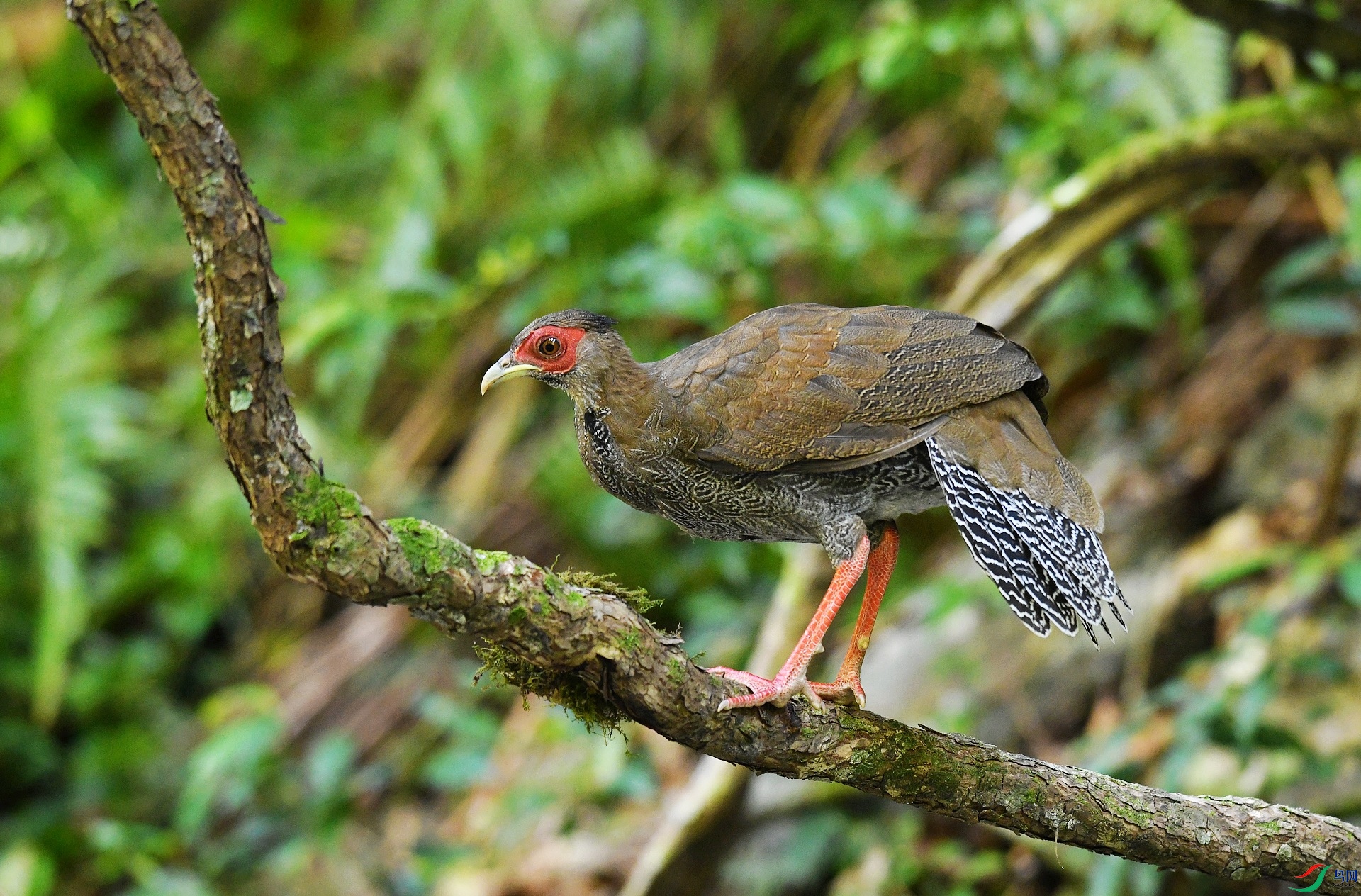 DSC_4597.jpg