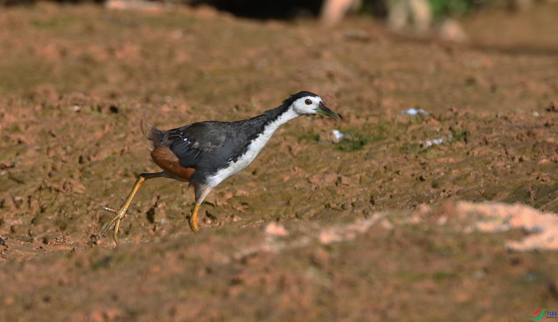 DSC_5047.jpg