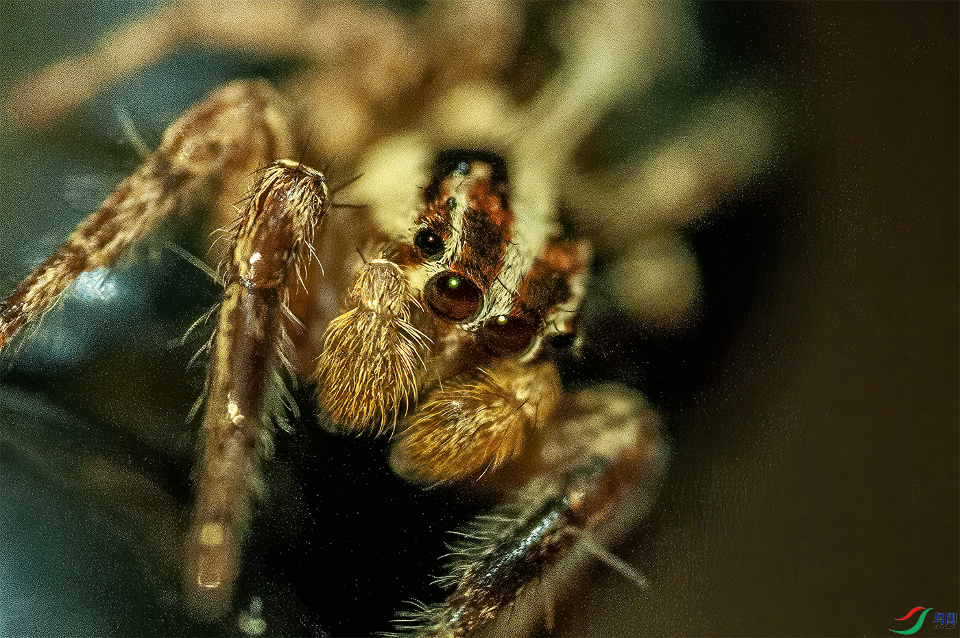 DSC_3106.png   0001.png