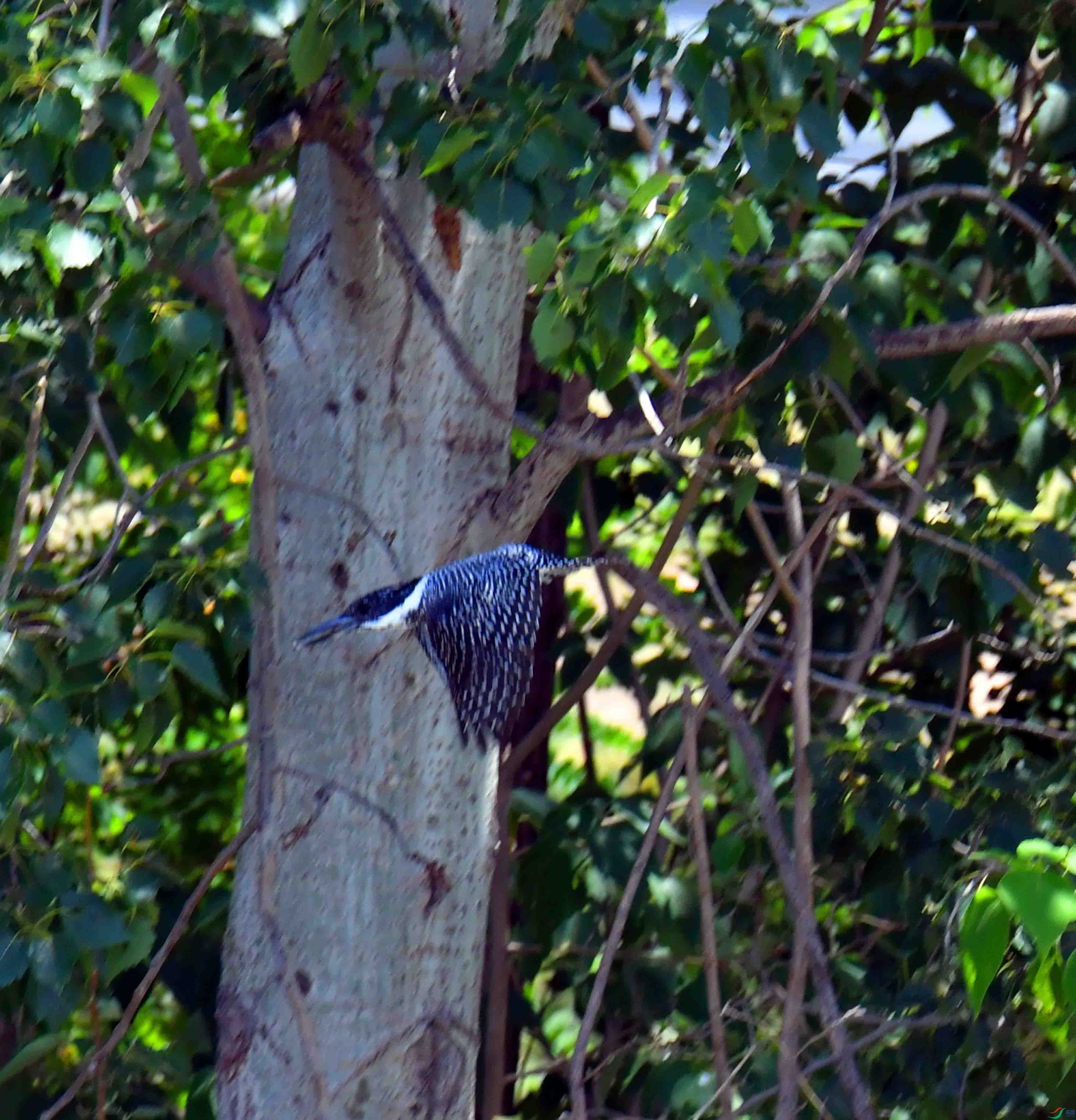 DSC_2876.JPG