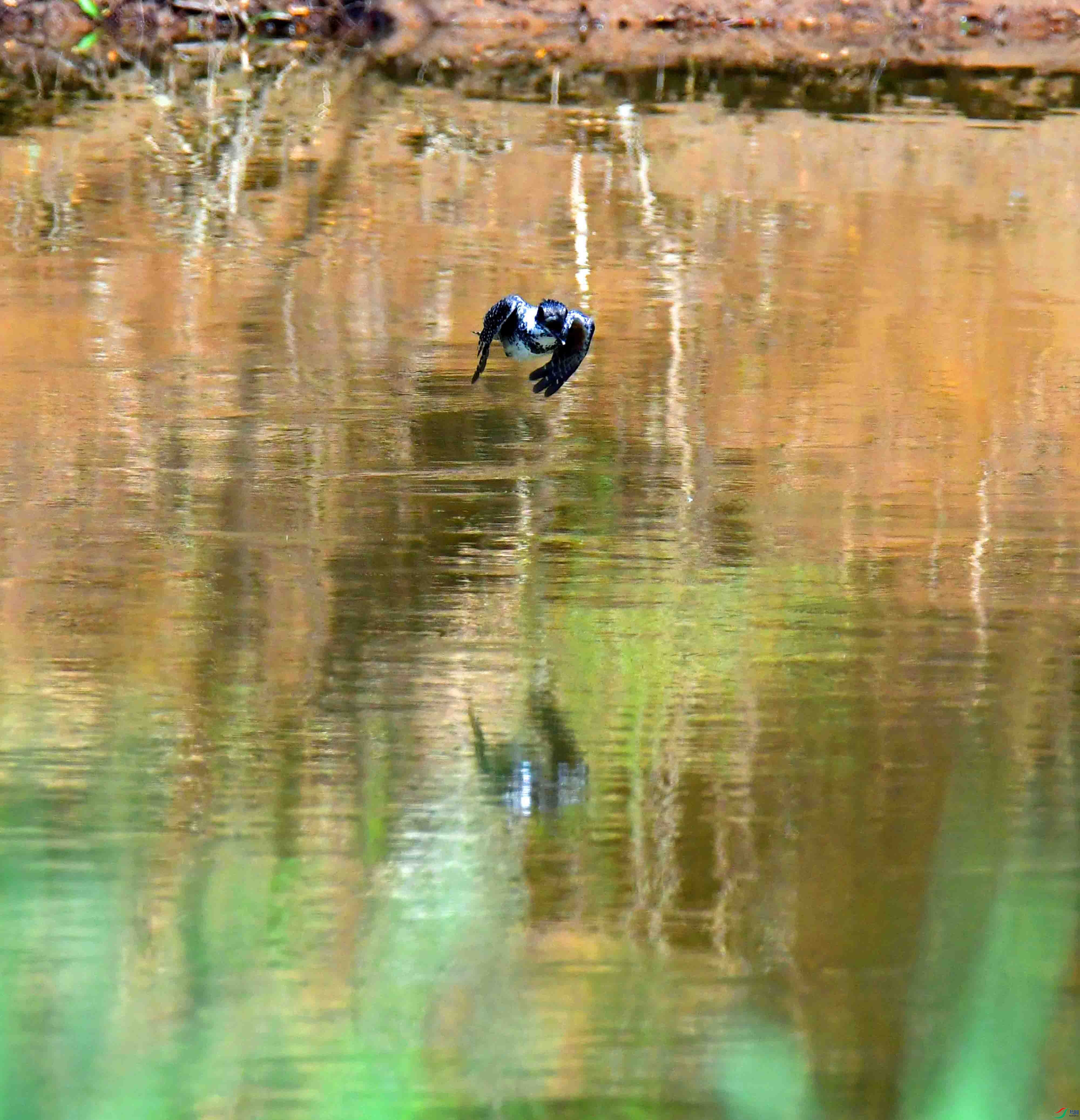 DSC_2962.JPG