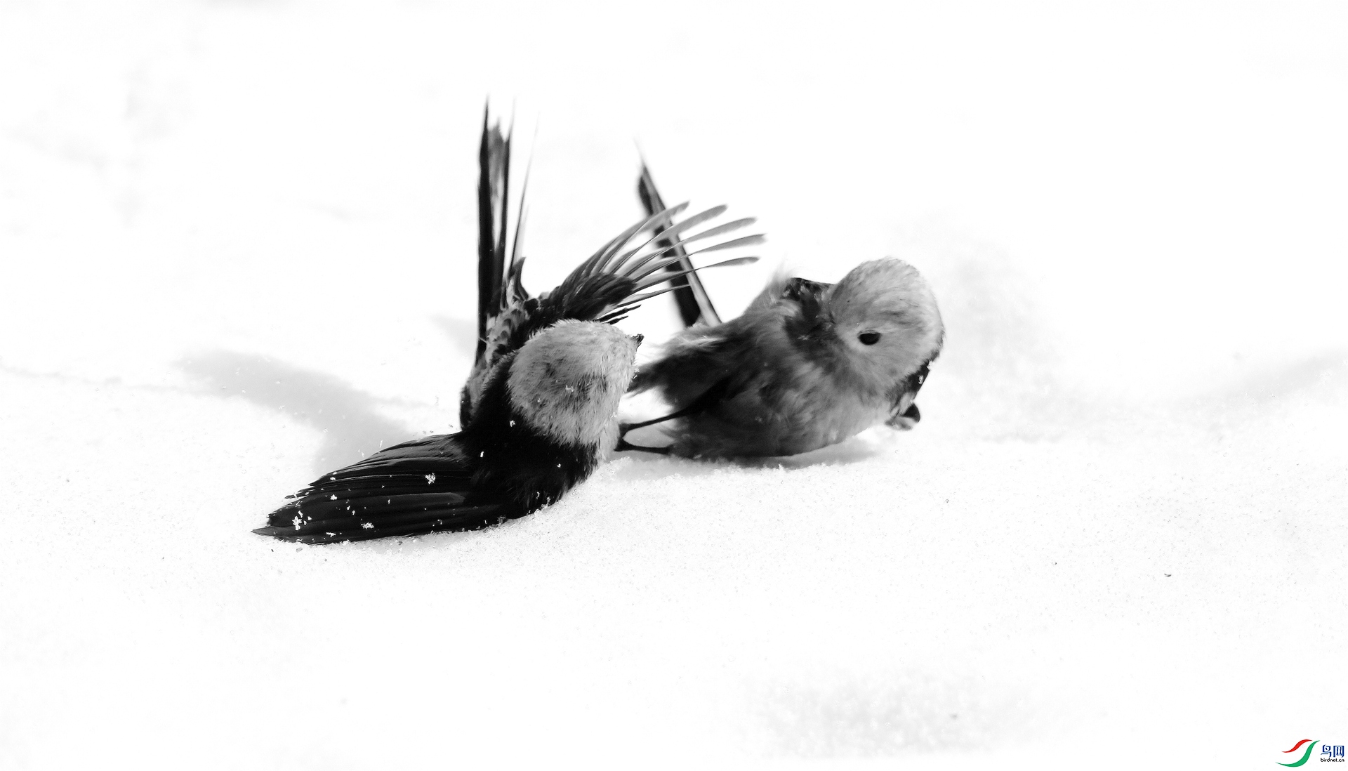 0G1A8116 ����.jpg