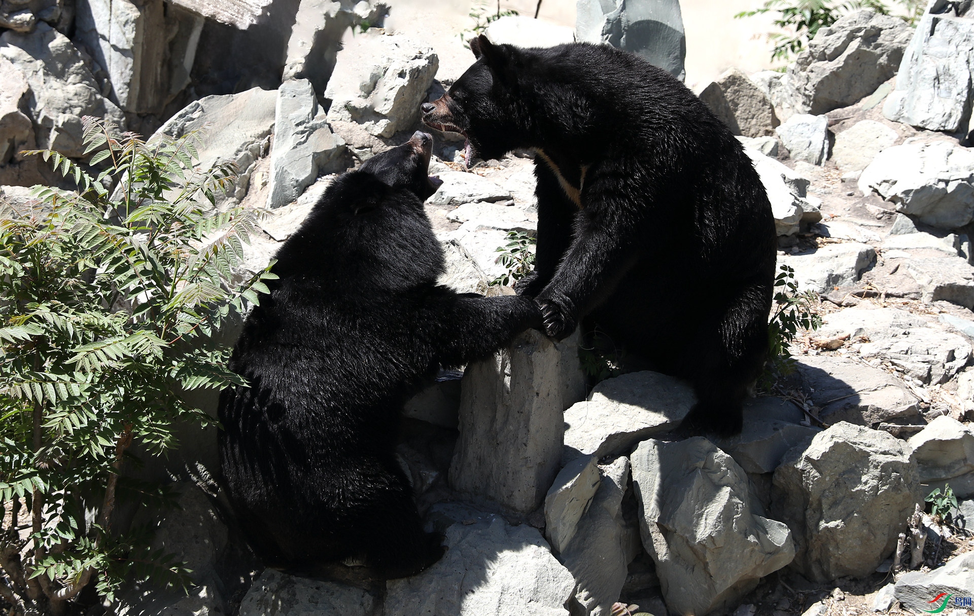 9G8A1177 ����.jpg