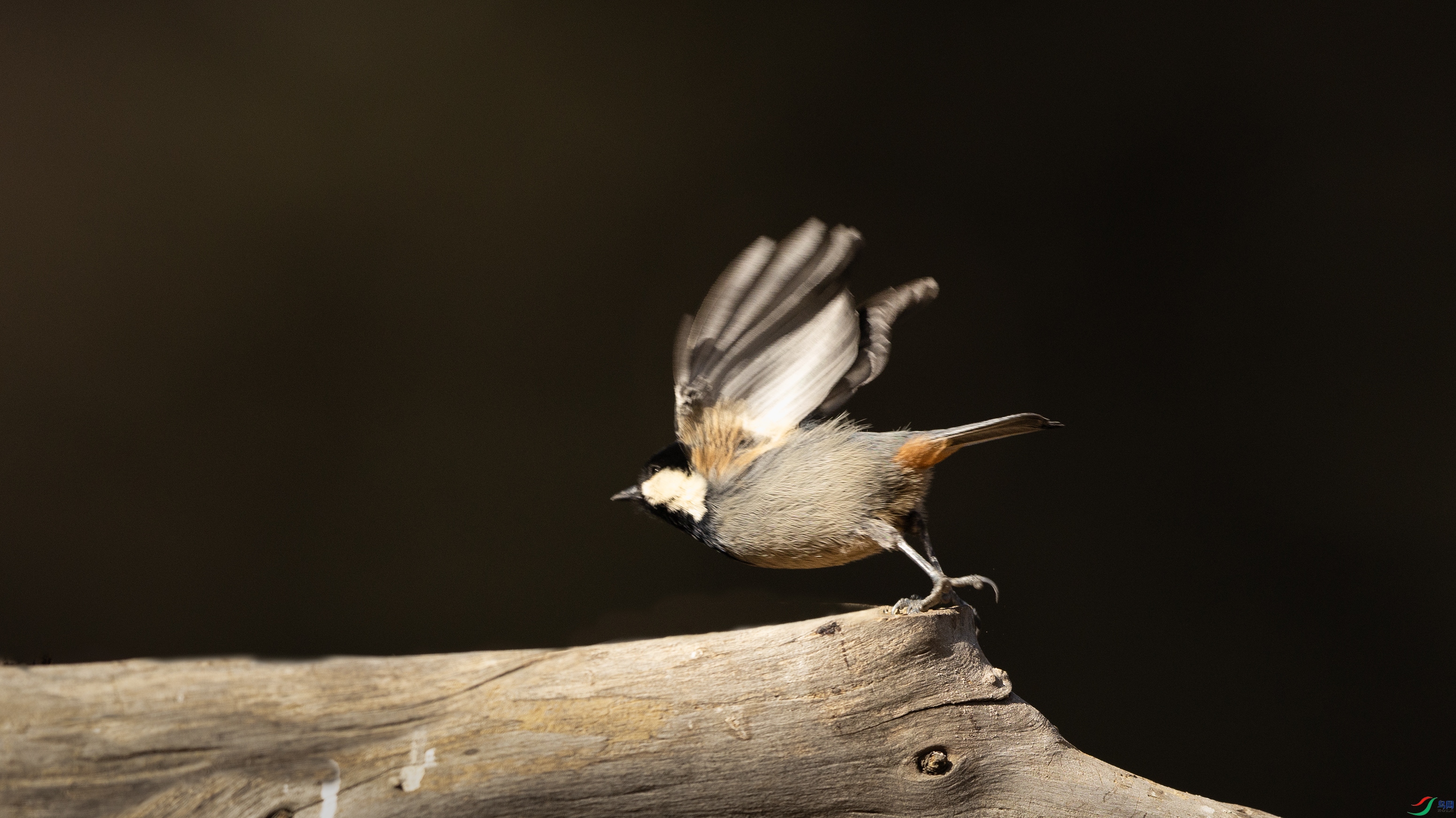 7X5A6525 ����4444.jpg