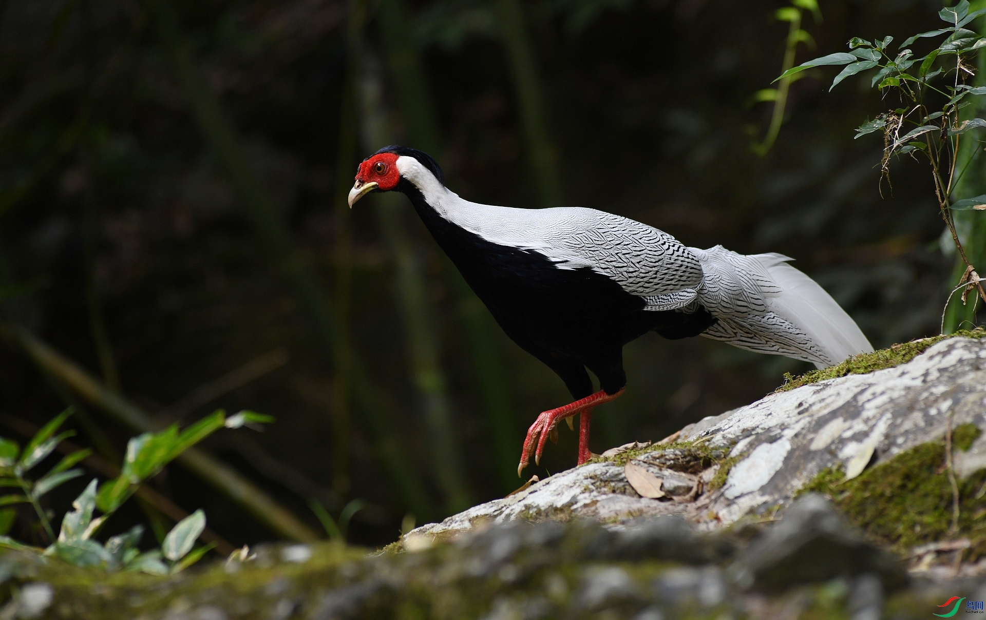 DSC_5565.jpg