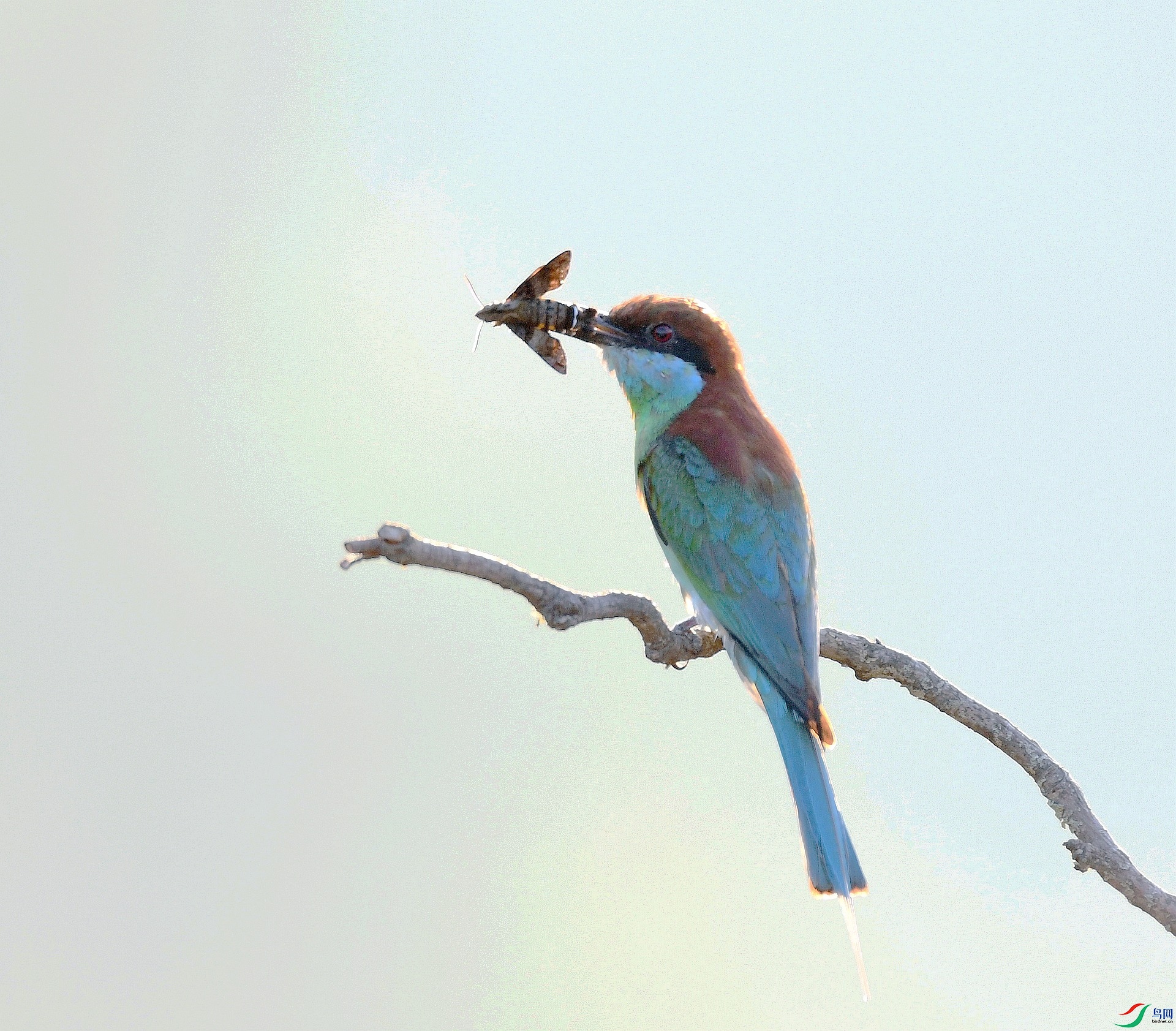 DSC_5461.jpg