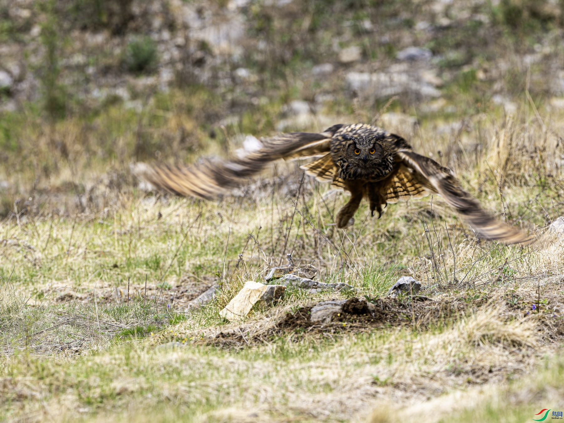 ���^ (5)-01.jpg