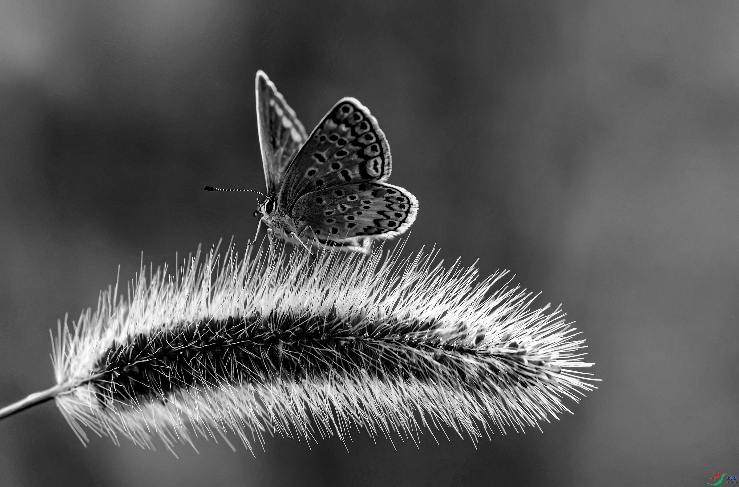 ���ۻҵ� (19)-01.jpg