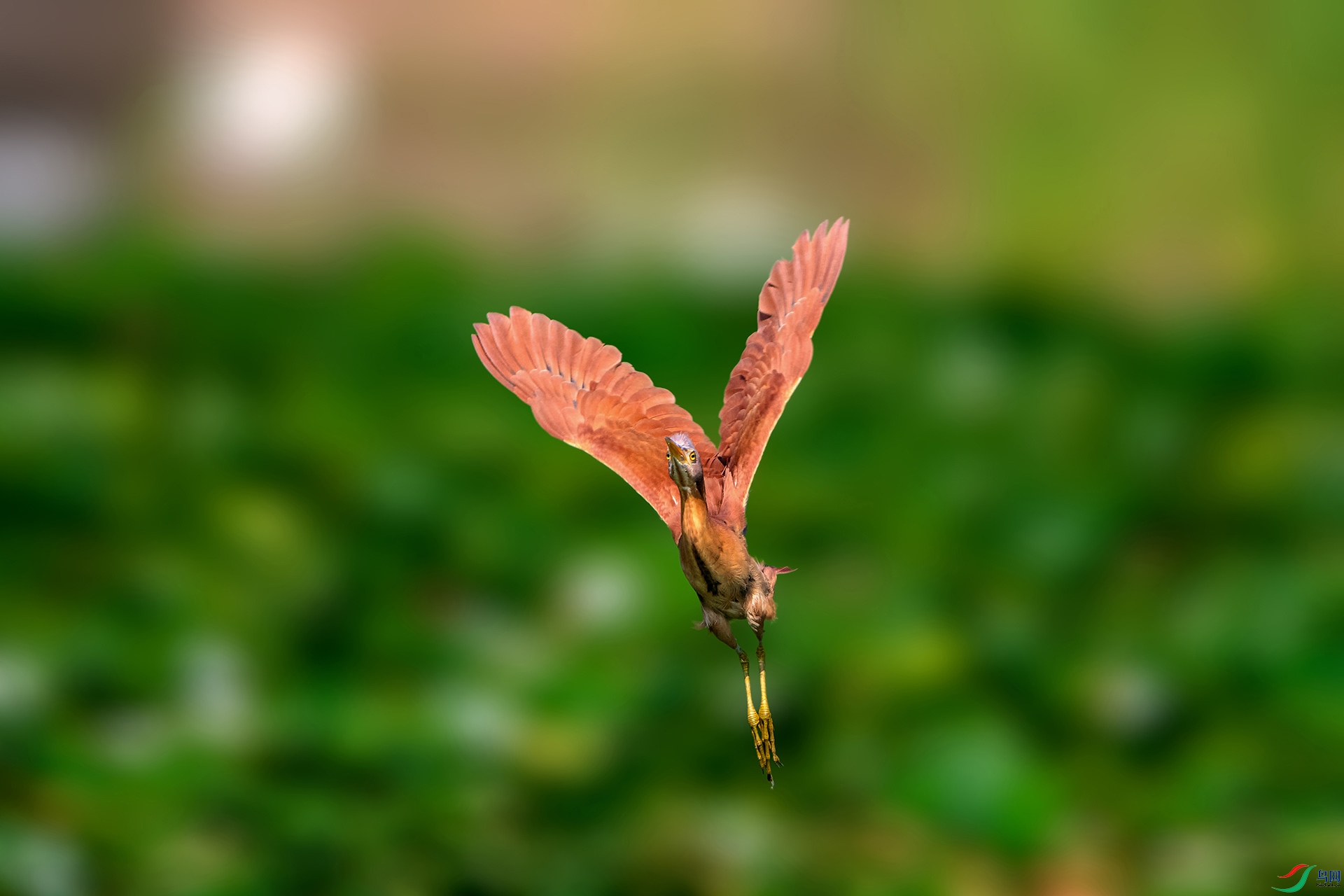 _AUU9436έέ�Z(24.8.14).jpg