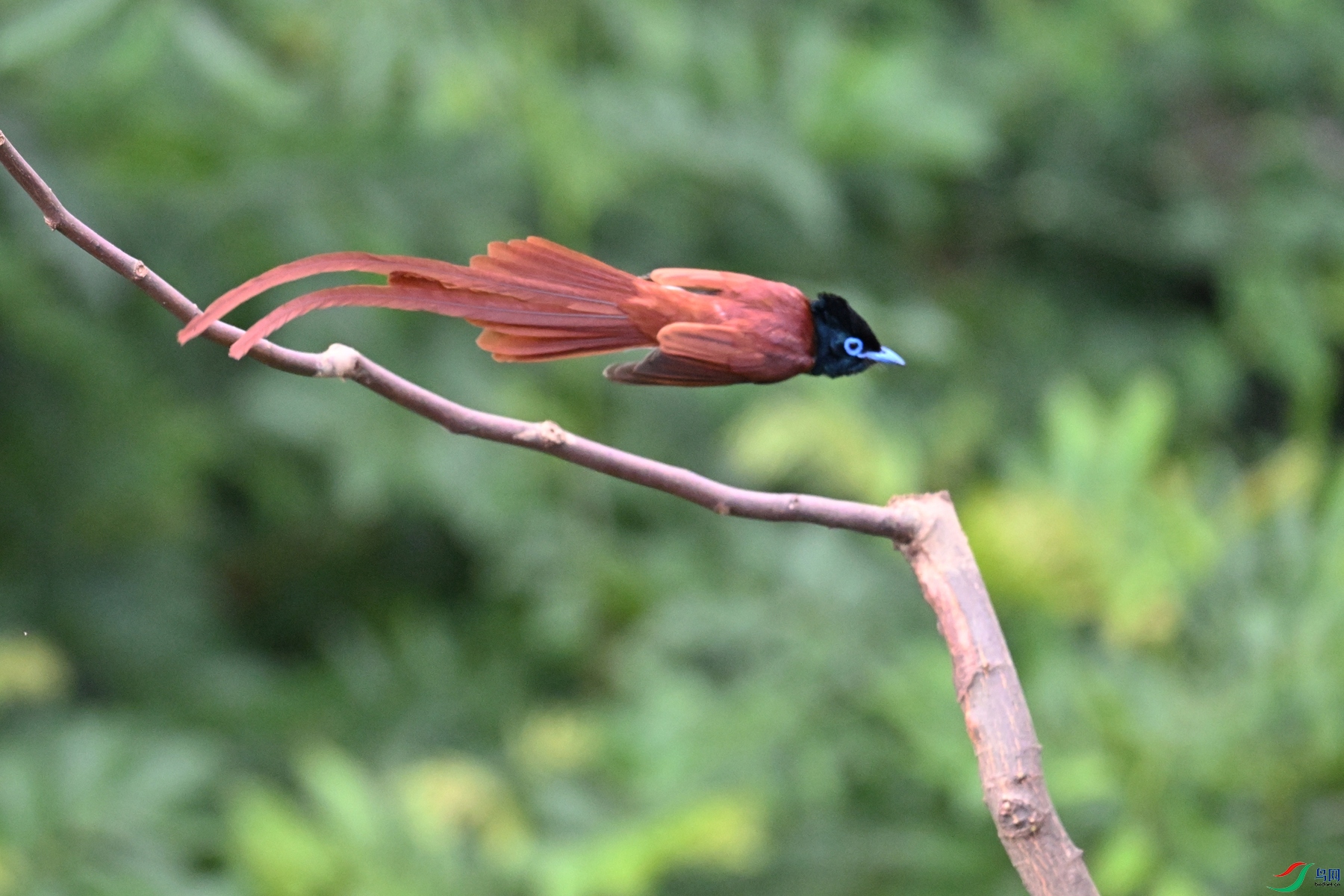 DSC_5553.JPG