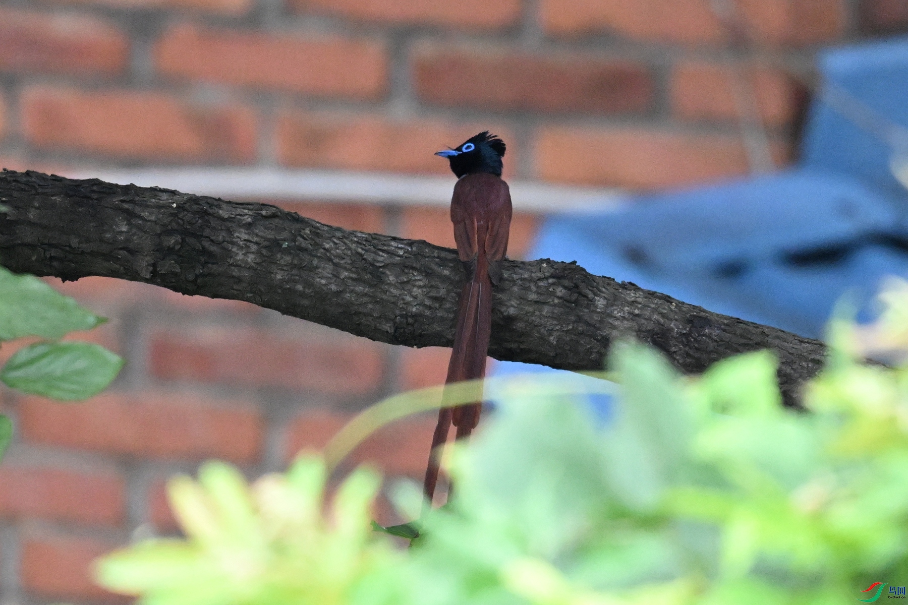 DSC_5538.JPG