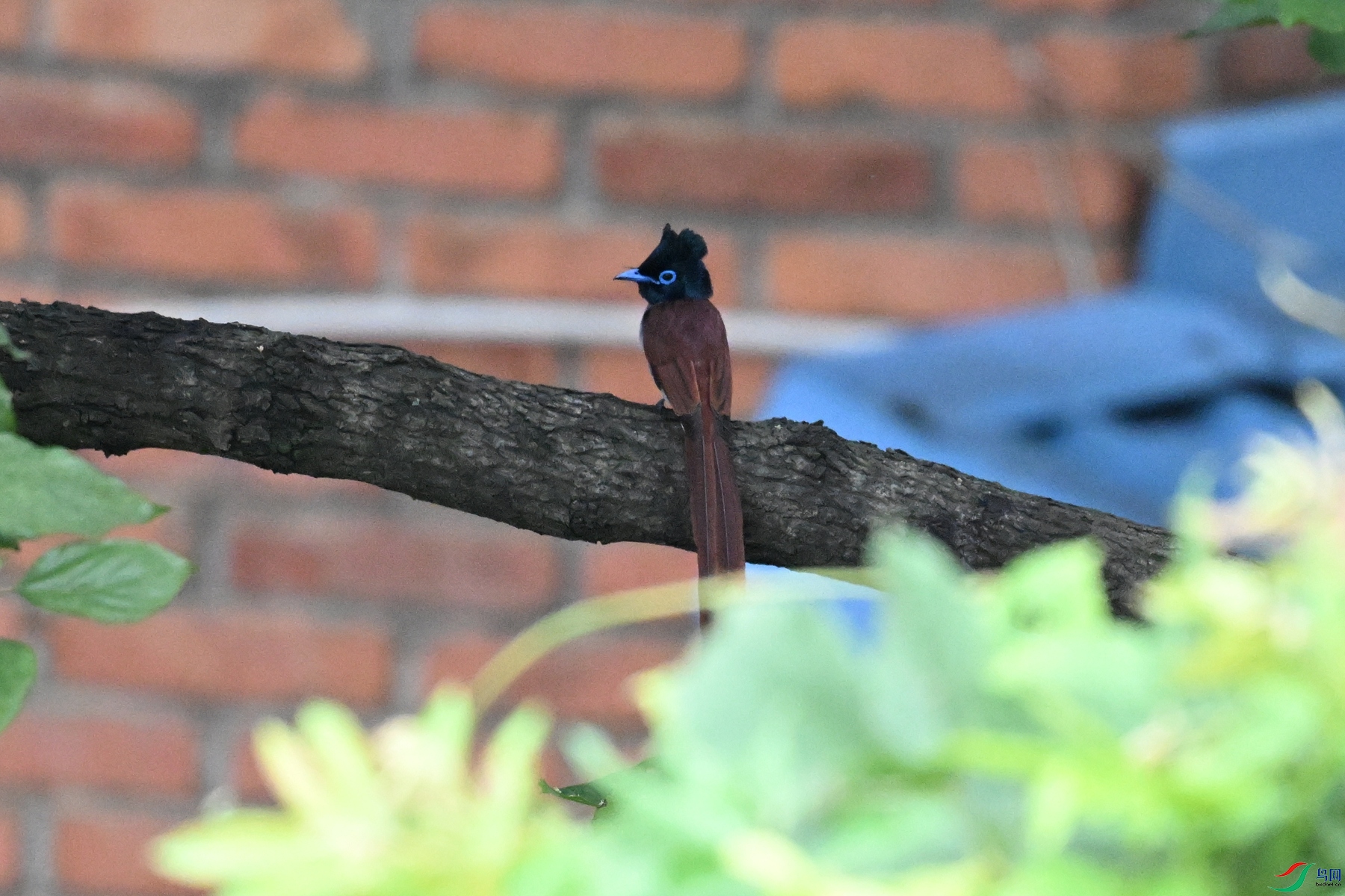DSC_5549.JPG