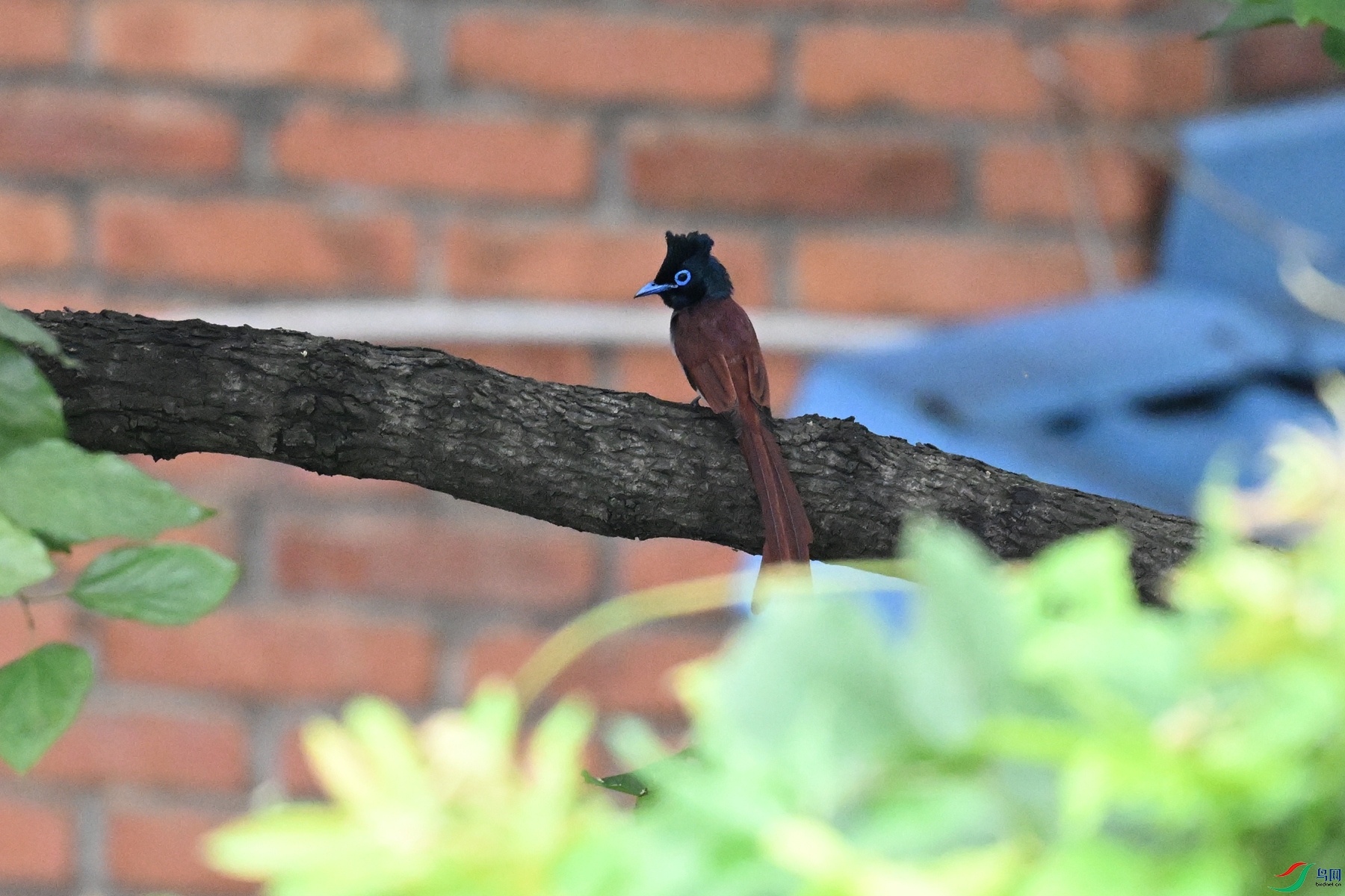 DSC_5550.JPG