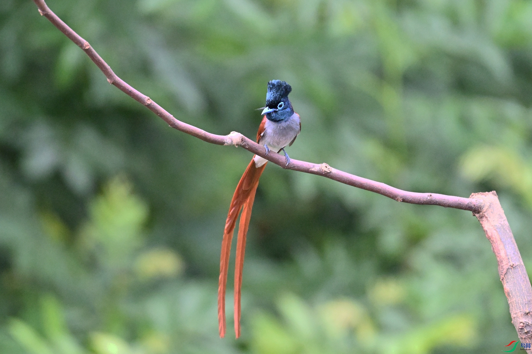 DSC_5521.JPG