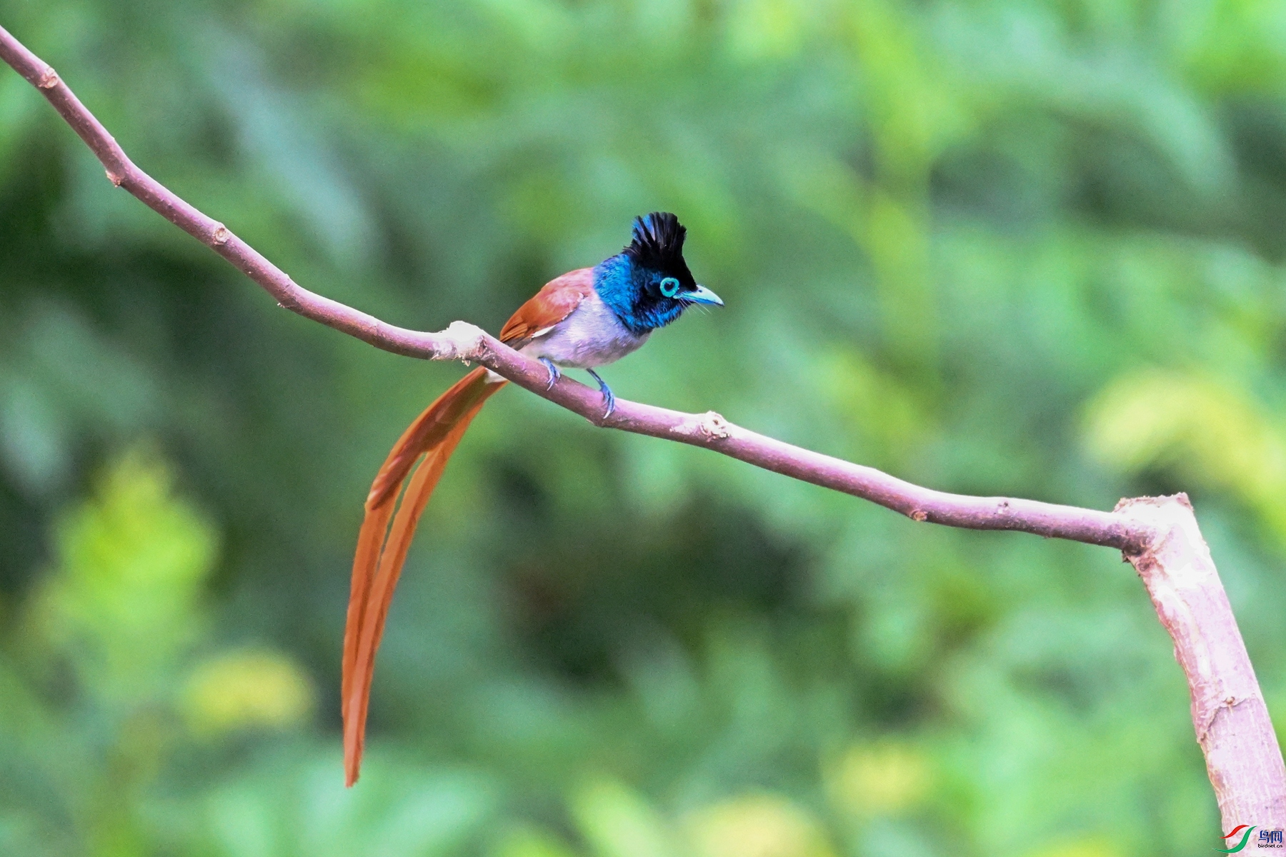 DSC_5526.JPG