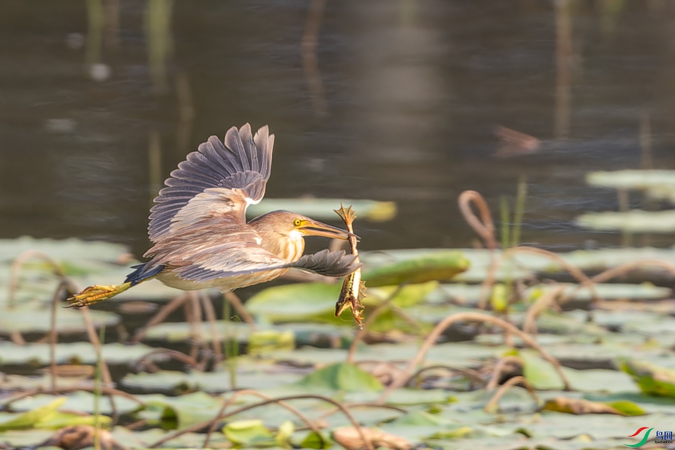 DSC_3022.jpg