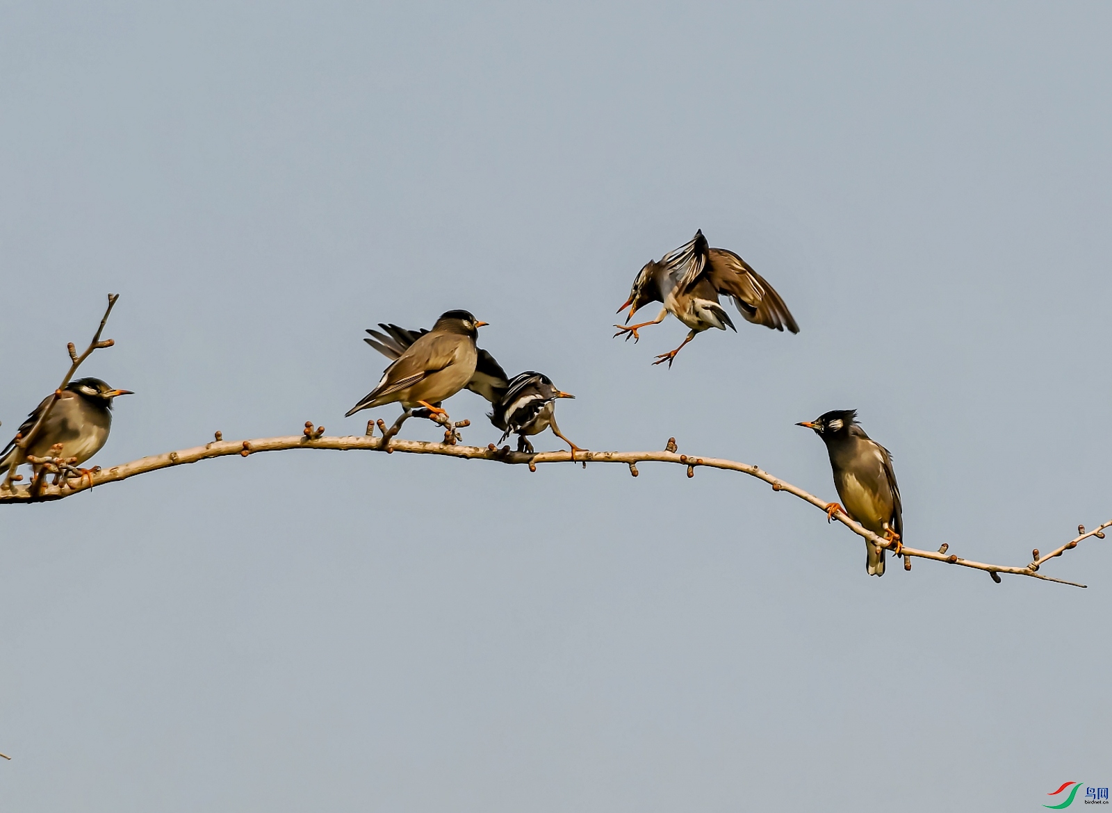 DSC_4148---_conew1.jpg