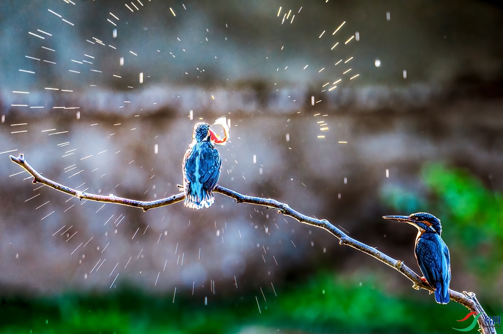 psc (11) ����1 2_����.jpg